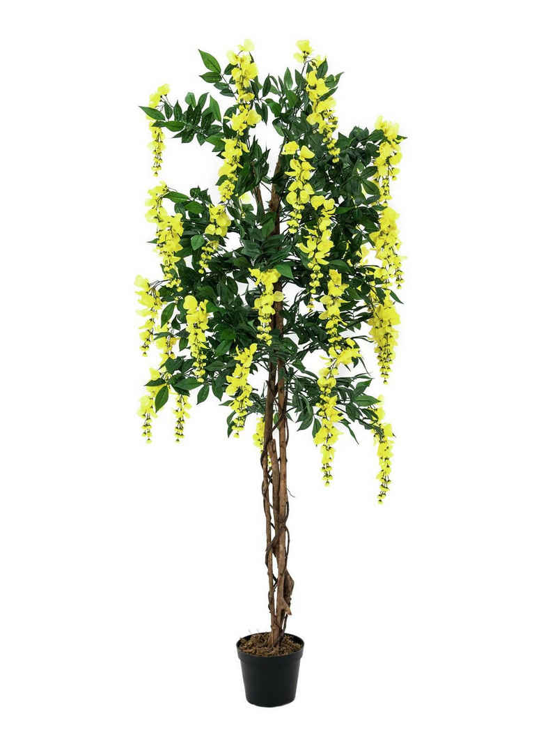 Kunstbaum Goldregenbaum, gelb, 180cm, EUROPALMS
