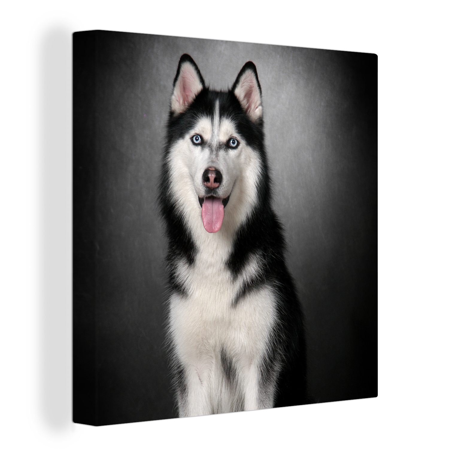 OneMillionCanvasses® Leinwandbild Sibirischer Husky, (1 St), Leinwand Bilder für Wohnzimmer Schlafzimmer