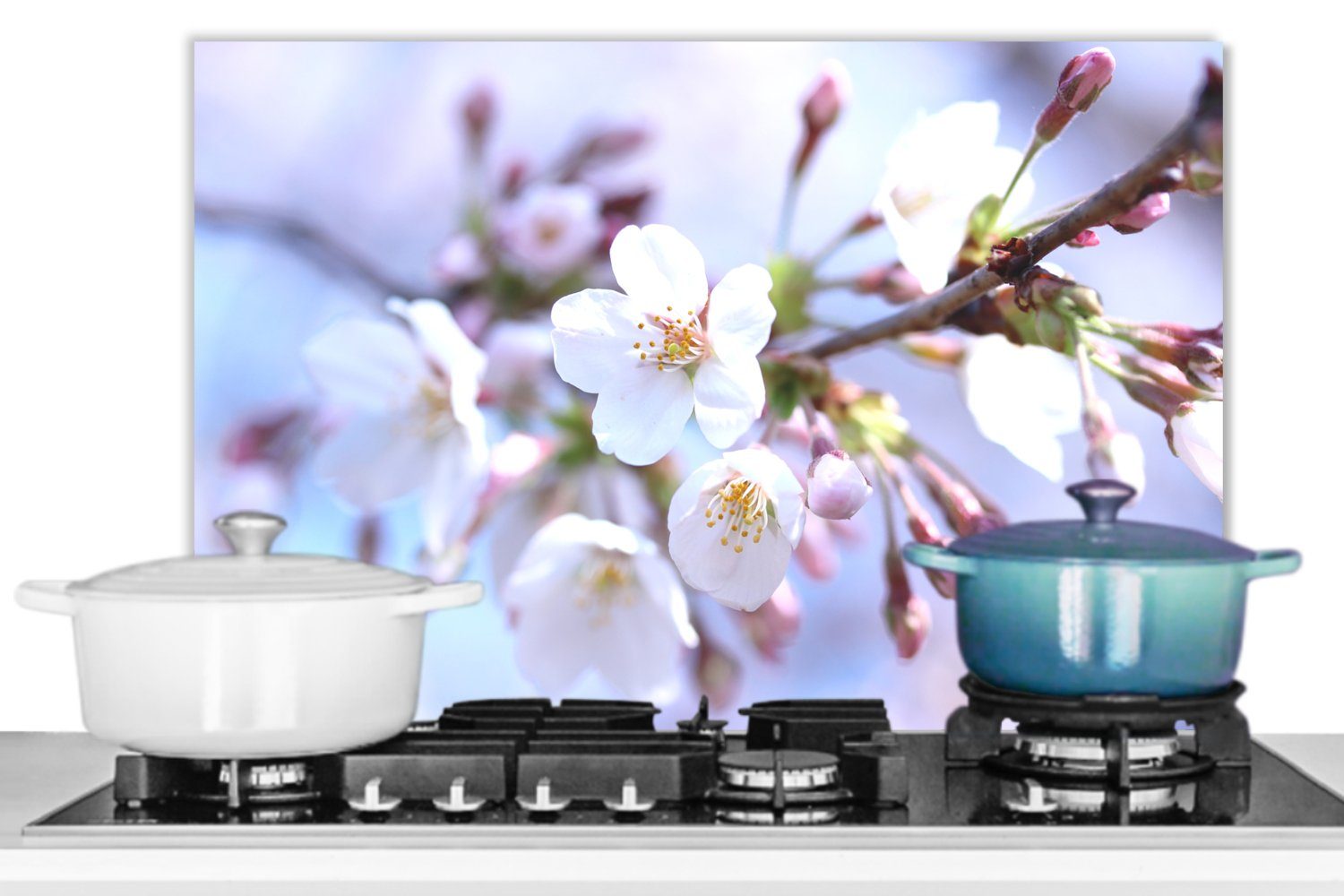 Herdblende (1-tlg), Küchenrückwand - - küchen Blütendolden, aus Sakura Zweig cm, Temperaturbeständig MuchoWow Blumen Wandschutz, 60x40 -