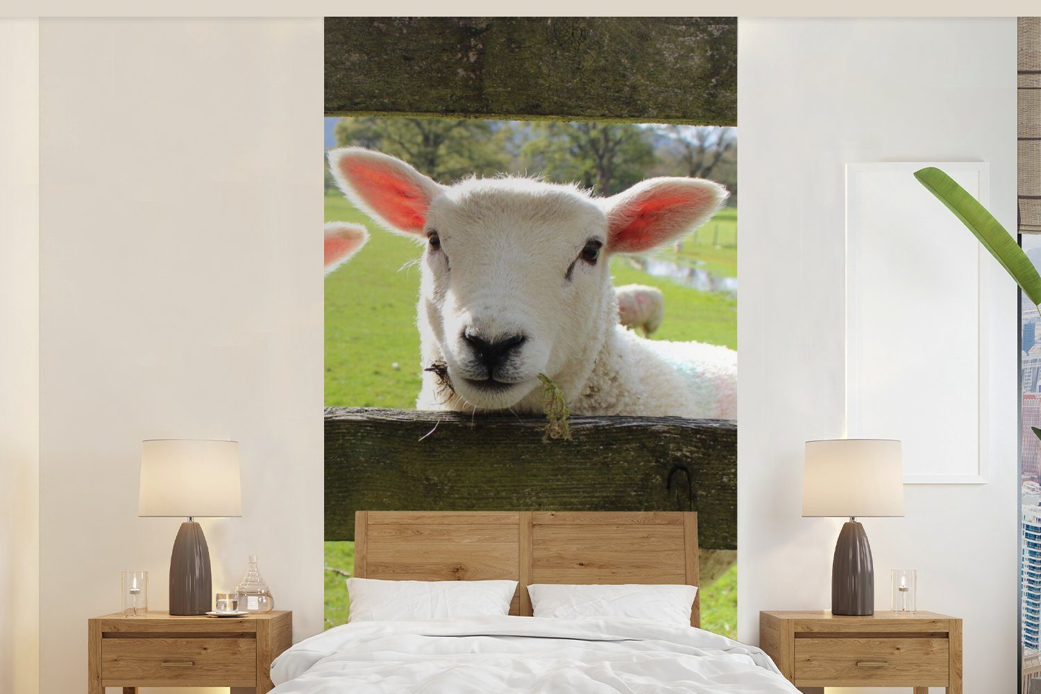 Schlafzimmer St), - Matt, Tiere Wohnzimmer Bauernhof, (2 Vliestapete Fototapete bedruckt, für Schafe Fototapete - Küche, MuchoWow