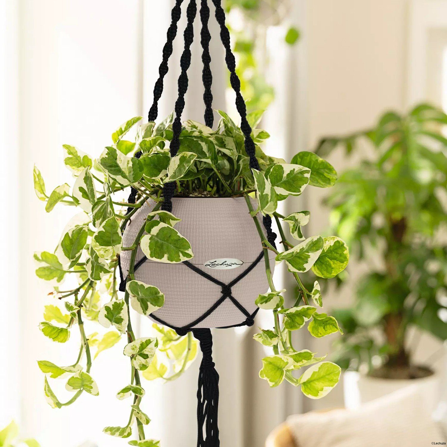 Lechuza® Blumentopf Blumenampel Makramee schwarz günstig online kaufen