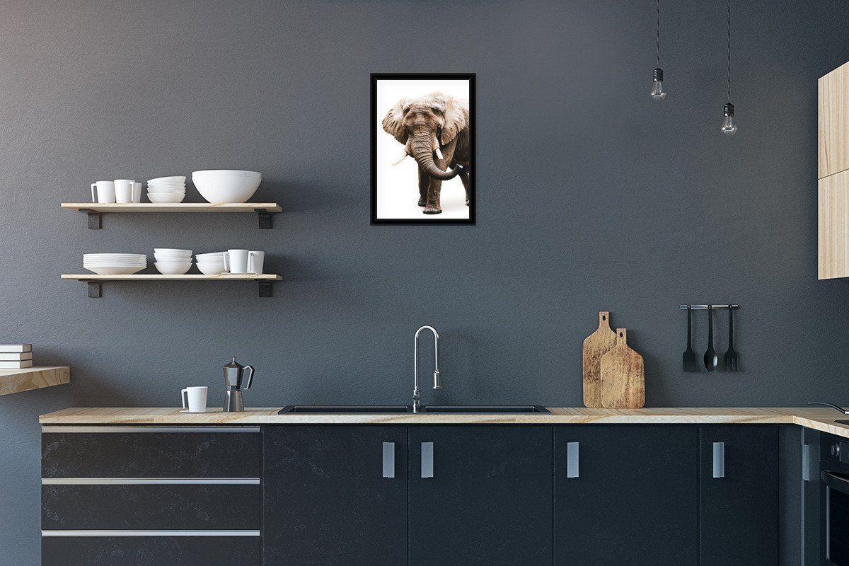 MuchoWow Poster Elefant - Weiß - Tiere, (1 St), Gerahmtes Poster, Wanddeko, Bilder, Wandposter, Schwarzem Bilderrahmen