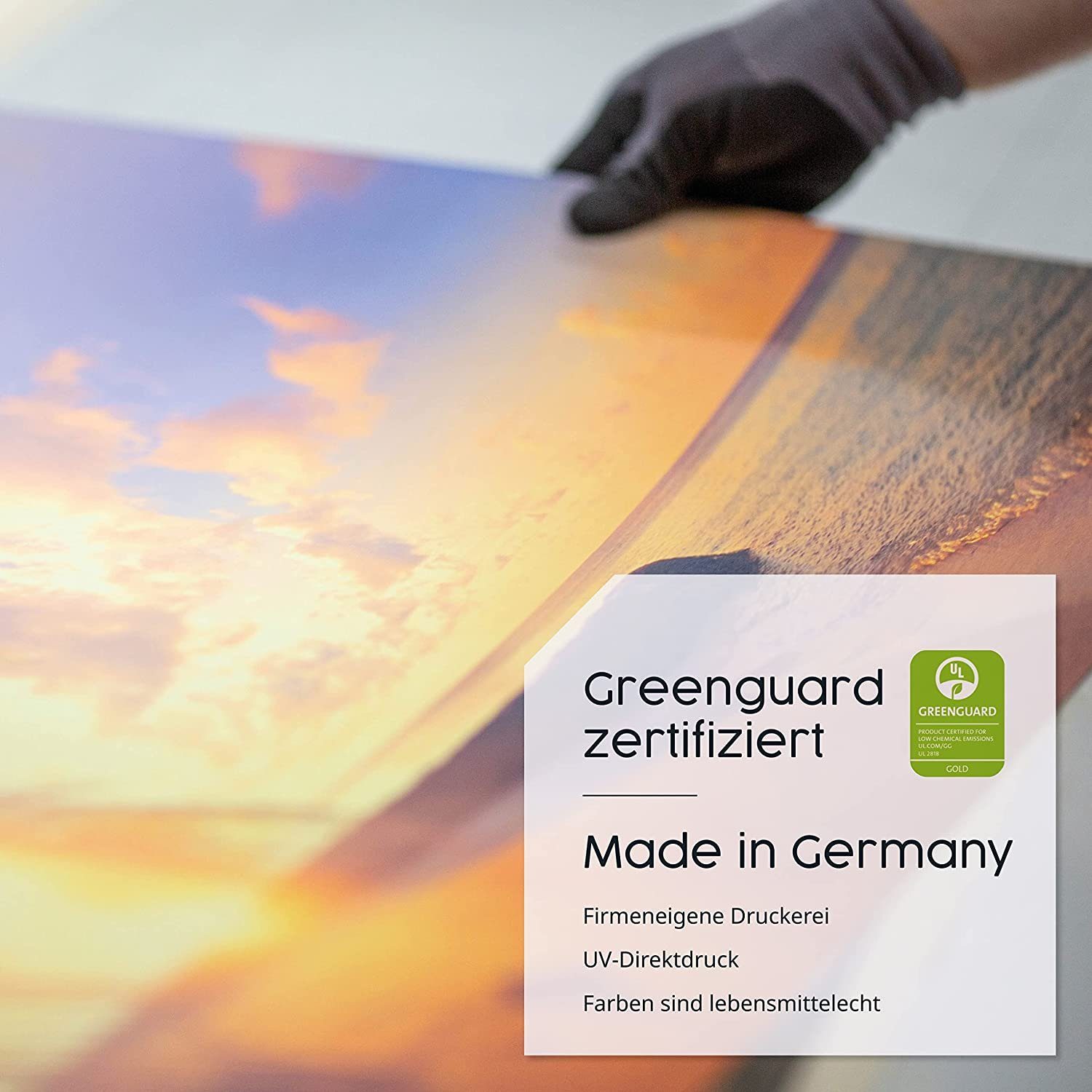 1000W, Könighaus Traumstrand Effizienz, Germany, Infrarotheizung Made Strahlungswärme hohe in angenehme 1 sehr Bild-Serie