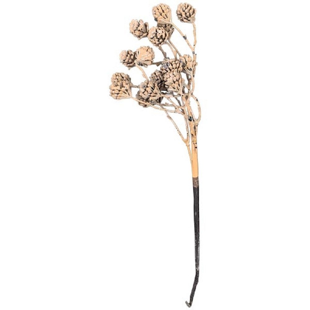 Kunstzweig Exner Kunstpflanze ZapfenZweig ArtificialNature, 38 cm, 270628, Exner GmbH Garten- & Wohnaccessoires