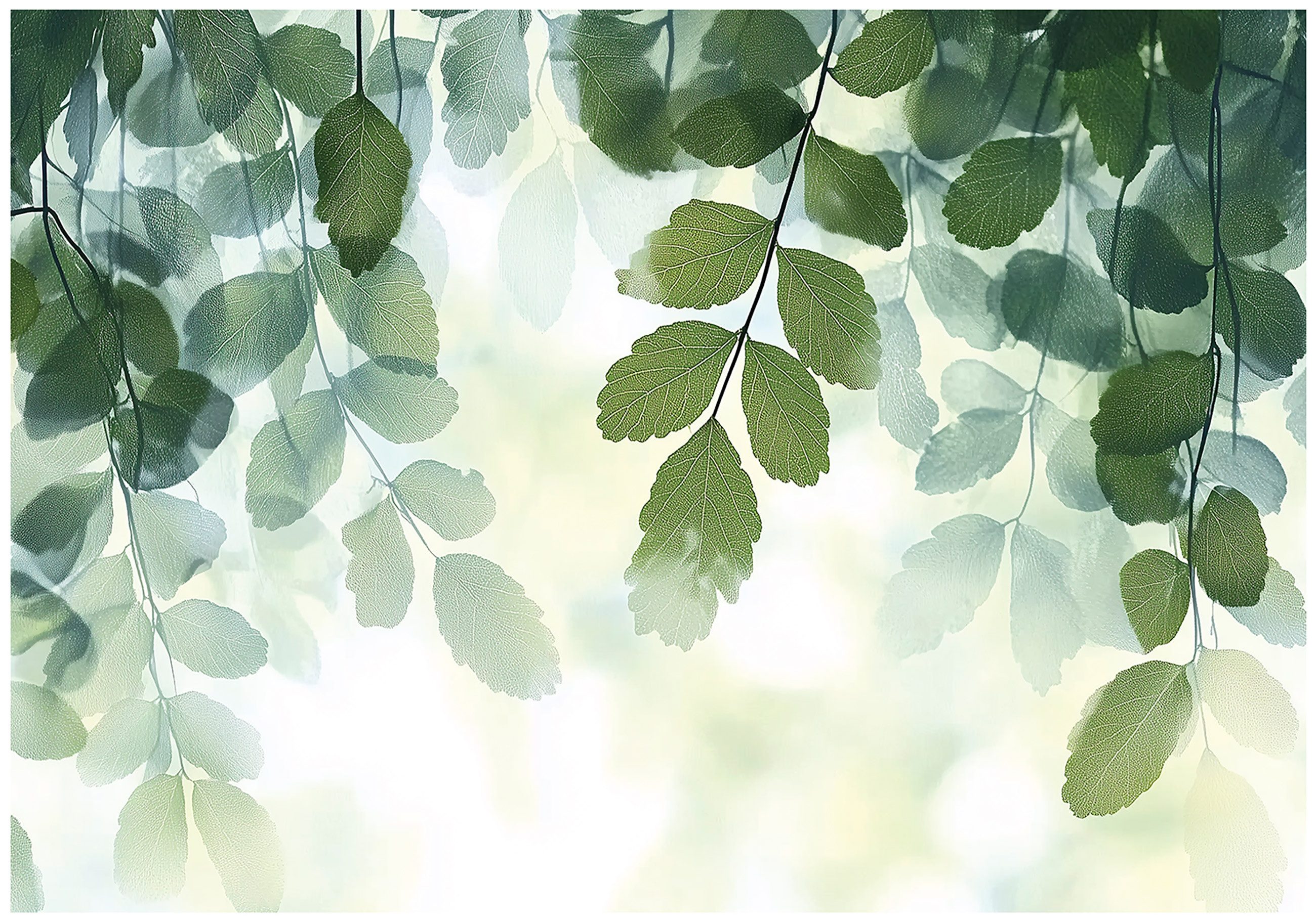 Fototapete Blätter Natur Grün Vlies Tapete Wohnzimmer Schlafzimmer Wandtapete