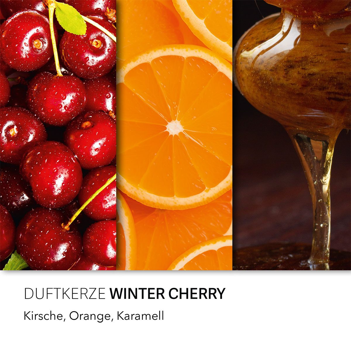 HARIBO Duftkerze Haribo Winter Cherry - günstig online kaufen