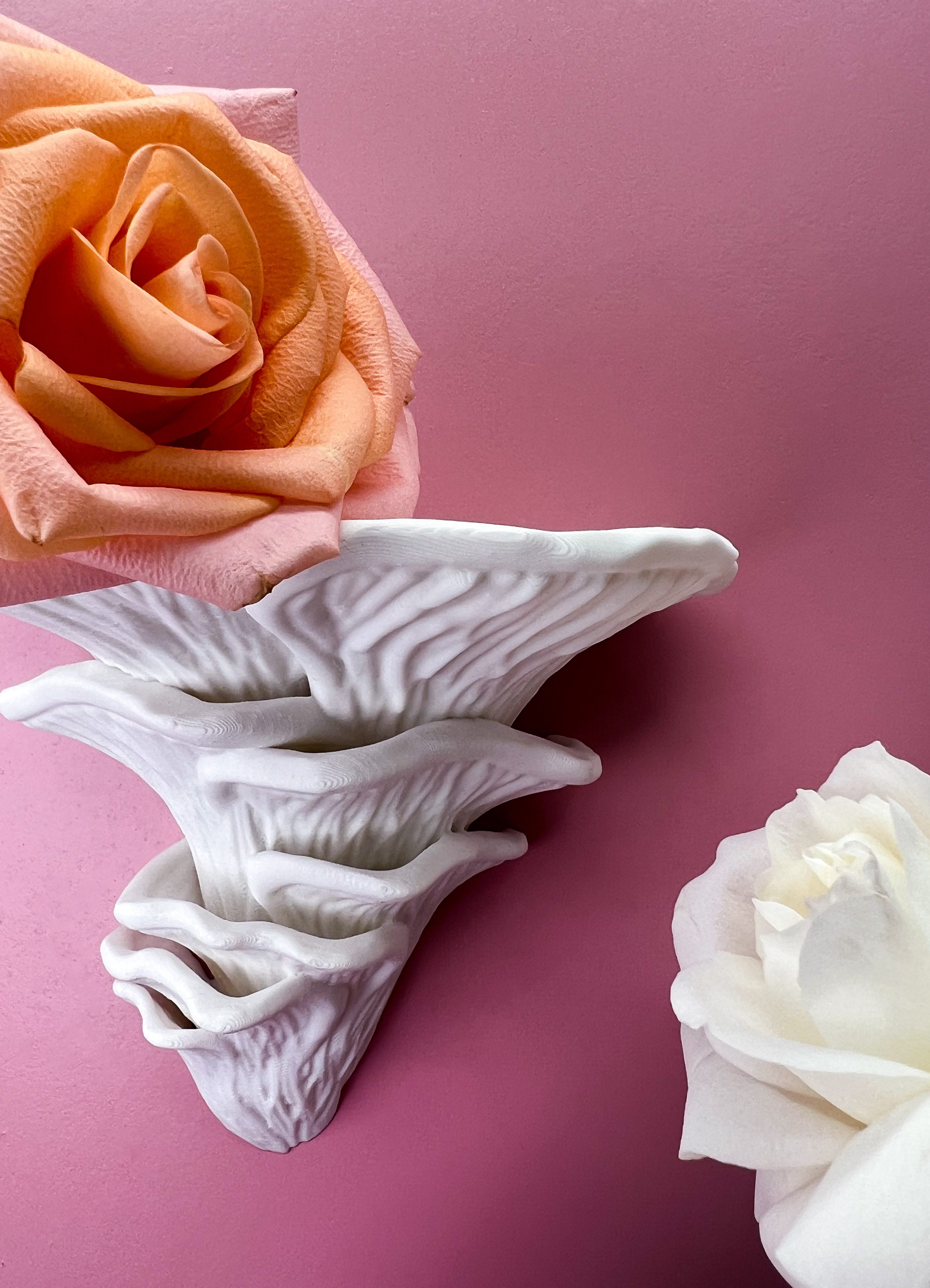 Roomberry Deko-Wandregal Flamingo-Seitling Pilz Wandregal, Hergestellt günstig online kaufen