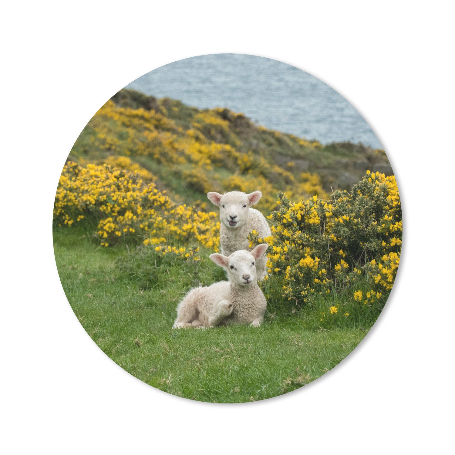 MuchoWow Mauspad Gelbe Blumen und zwei Lämmer (1-St), Mousepad mit Rutschfester Unterseite, Gaming, Rund, 30x30 cm