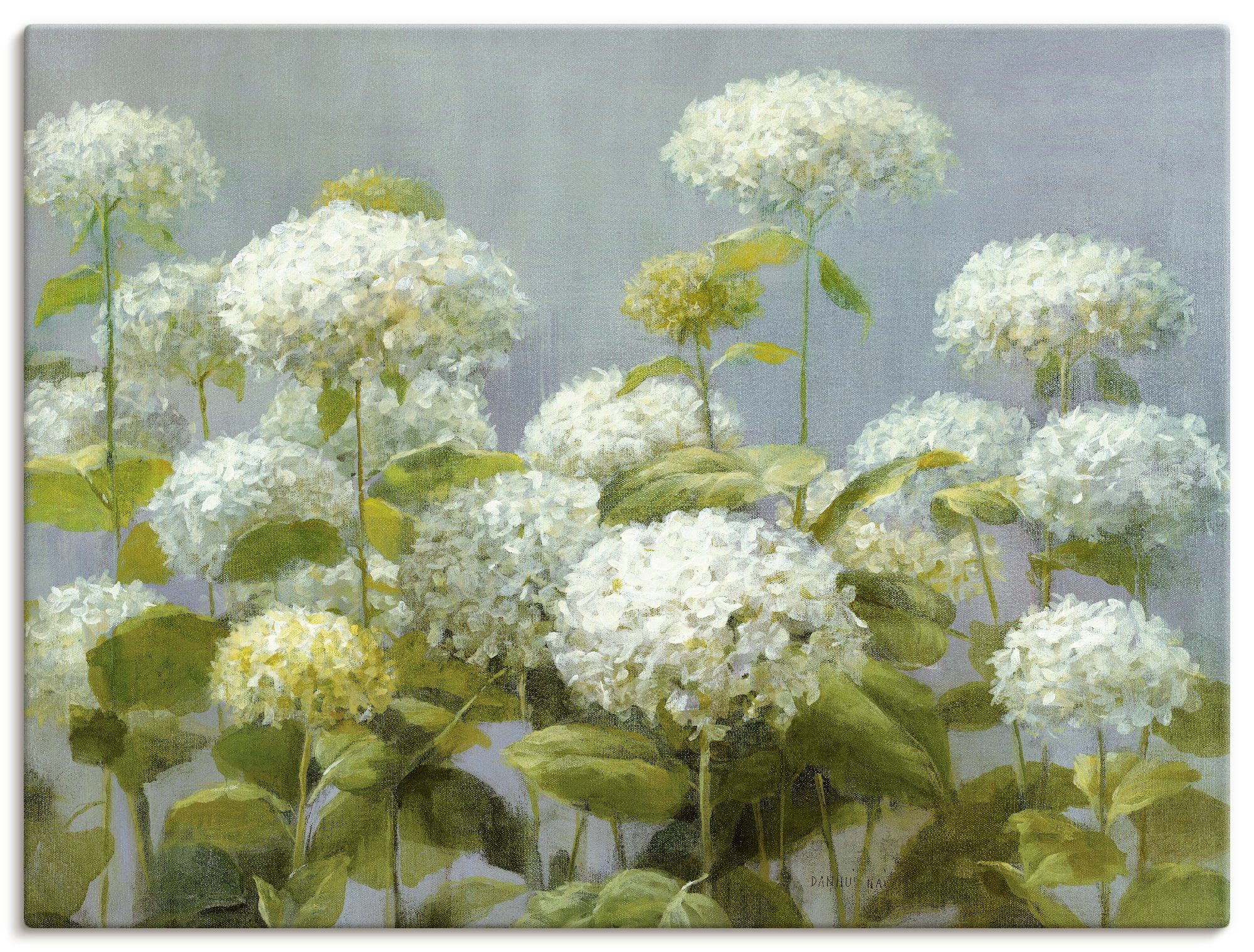 Artland Wandbild Weißer Hortensien Garten, Blumen (1 St), als Leinwandbild, Poster, Wandaufkleber in verschied. Größen
