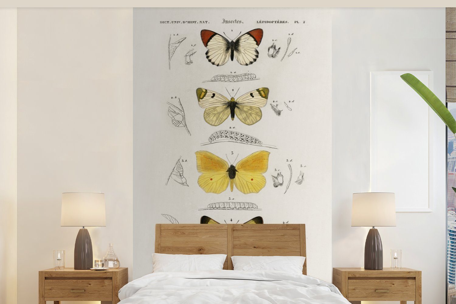 für Wohnzimmer, Wallpaper Schmetterling bedruckt, St), Tapete Vintage - Fototapete Kinderzimmer, Schlafzimmer, Vinyl (3 MuchoWow Matt, Insekten, -