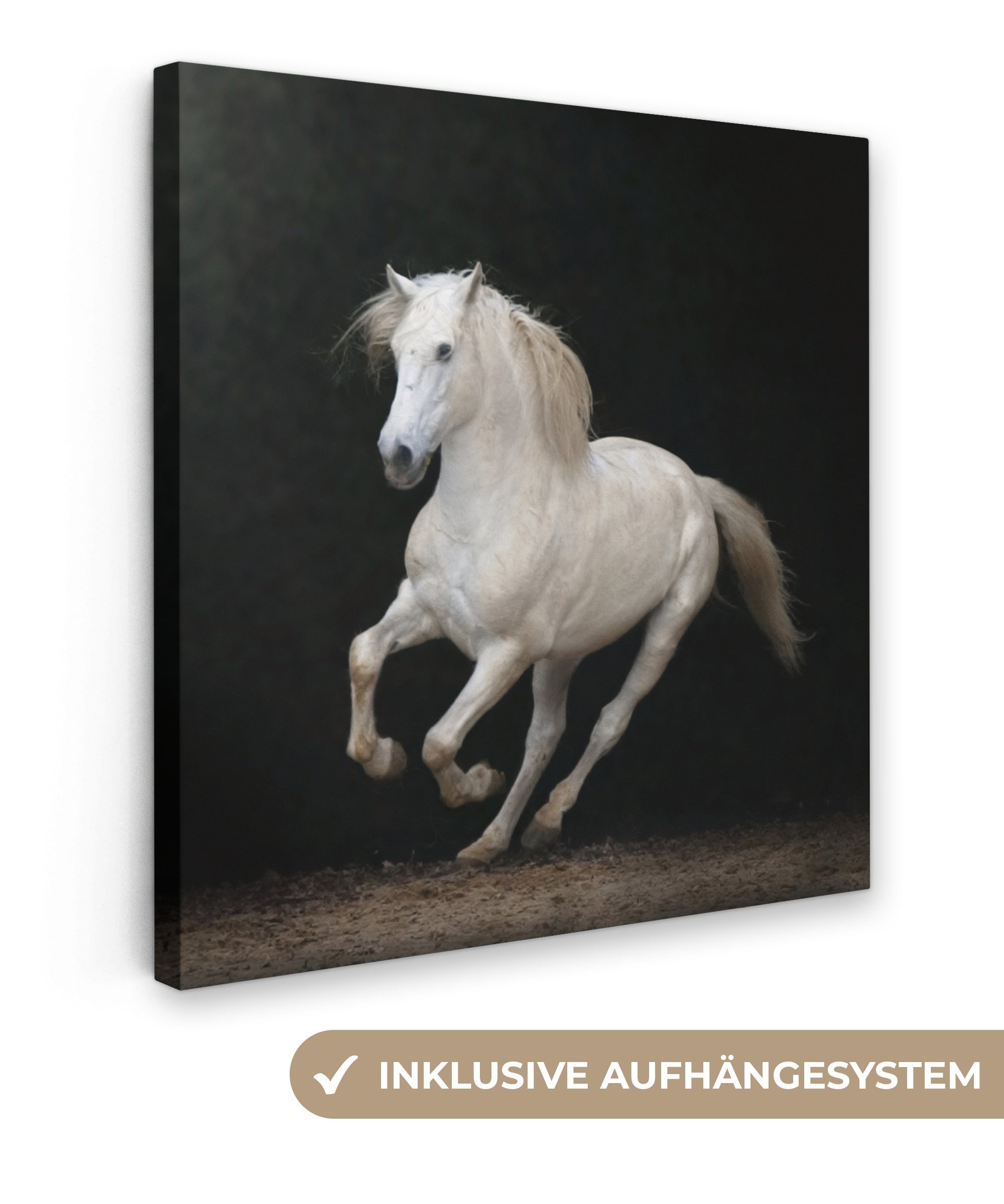 OneMillionCanvasses® Leinwandbild Pferde - Schwarz - Porträt, (1 St), Leinwand Bilder für Wohnzimmer Schlafzimmer, 20x20 cm