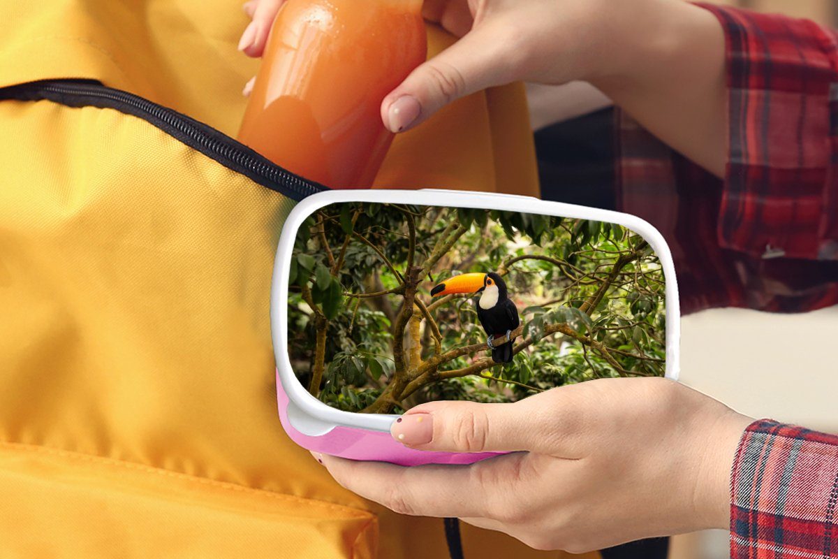 Dschungel Brotdose Tropisch, Snackbox, Mädchen, Kunststoff Erwachsene, - Vogel - Natur für (2-tlg), Lunchbox Tukan Brotbox - MuchoWow rosa - Kinder, Kunststoff,