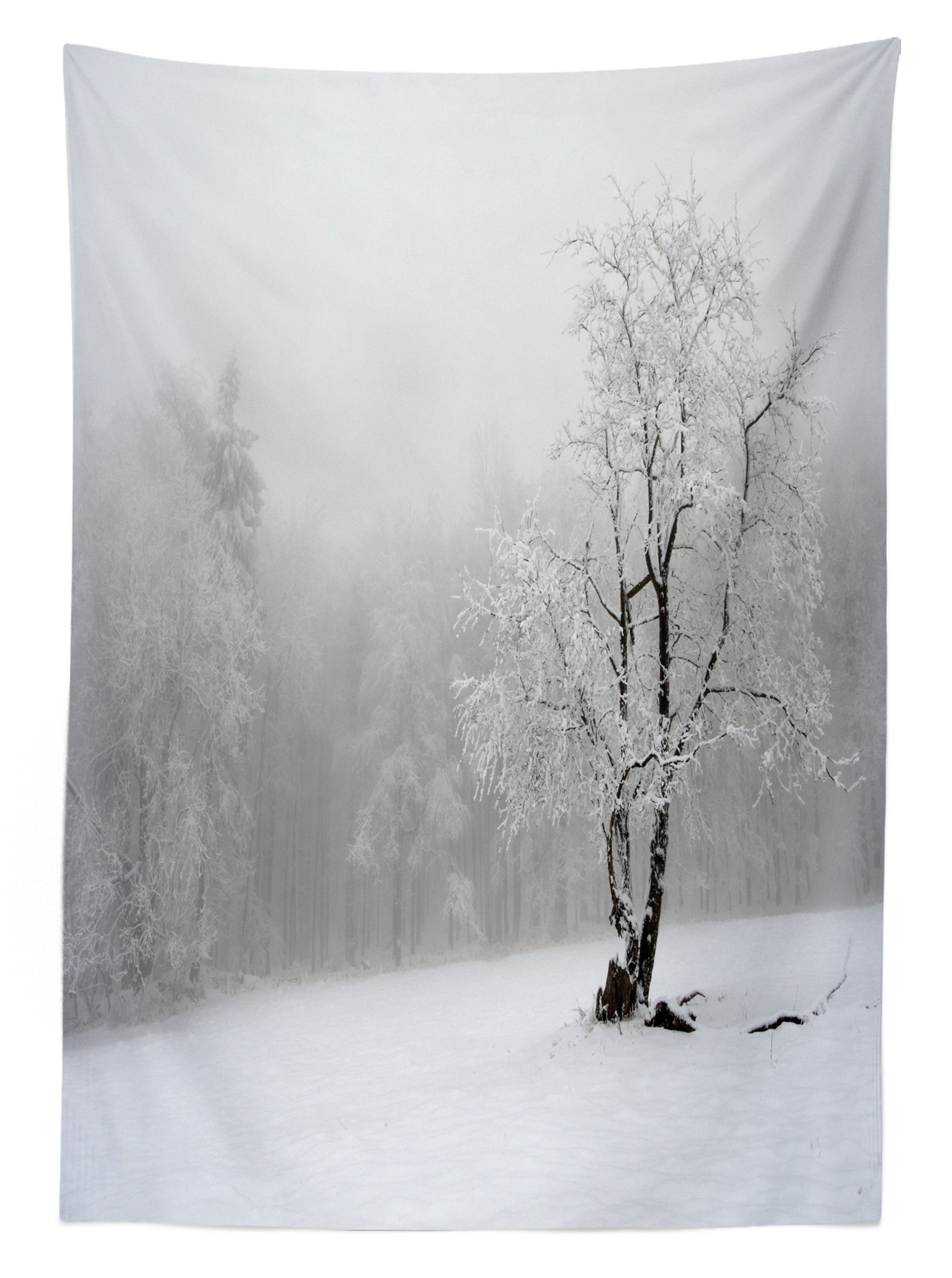 Abakuhaus Tischdecke Farbfest den Kalten Winter Farben, Bereich Wald Für Baum Klare geeignet verschneiten Waschbar Außen