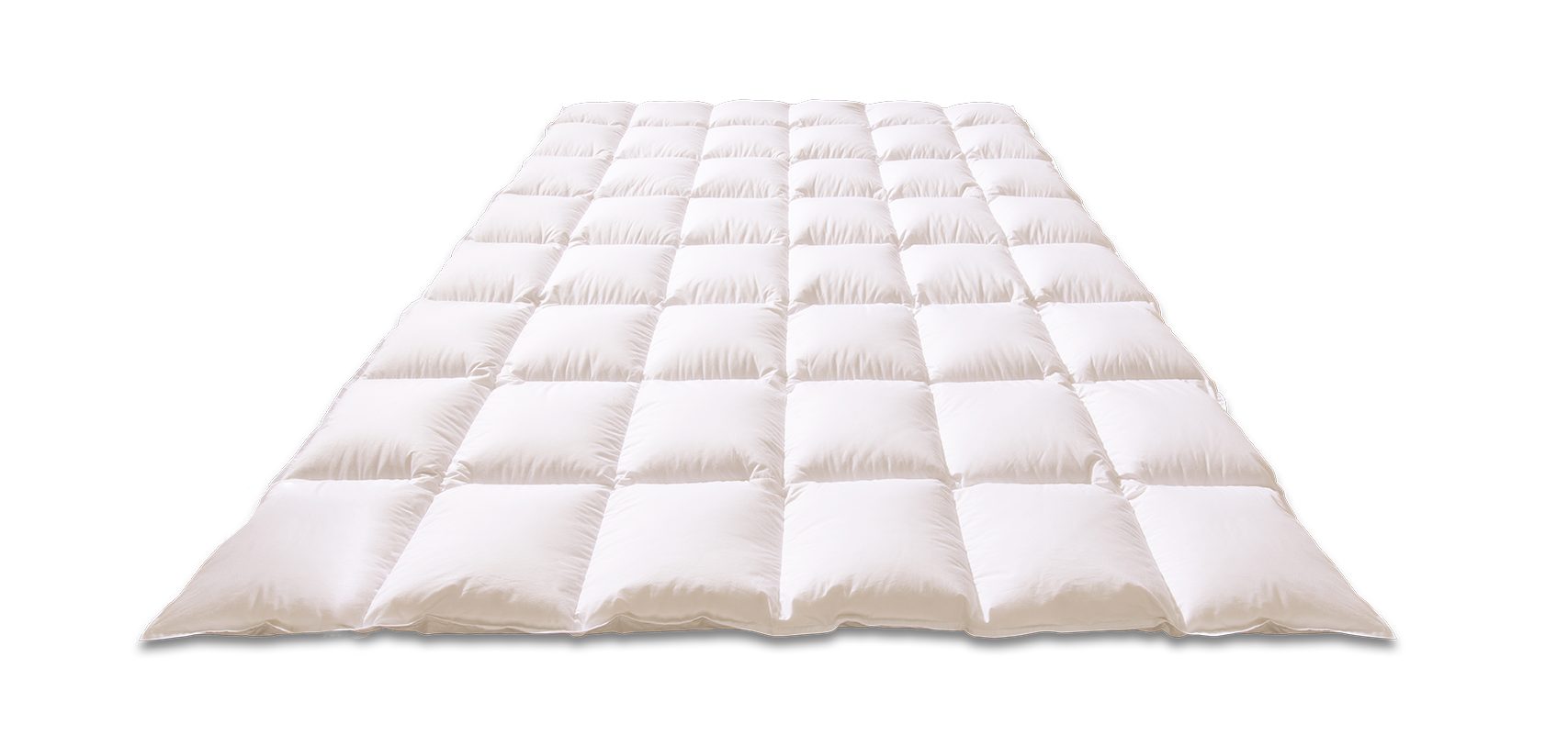 Kauffmann Daunenbettdecke Ganzjahresdaunendecke Superior - Medium mit 1,5 cm Steghöhe, Füllung: 100% Daunen, Bezug: 100% Baumwolle, Ganzjahresdecke mit ausgewogenem Wärmevermögen