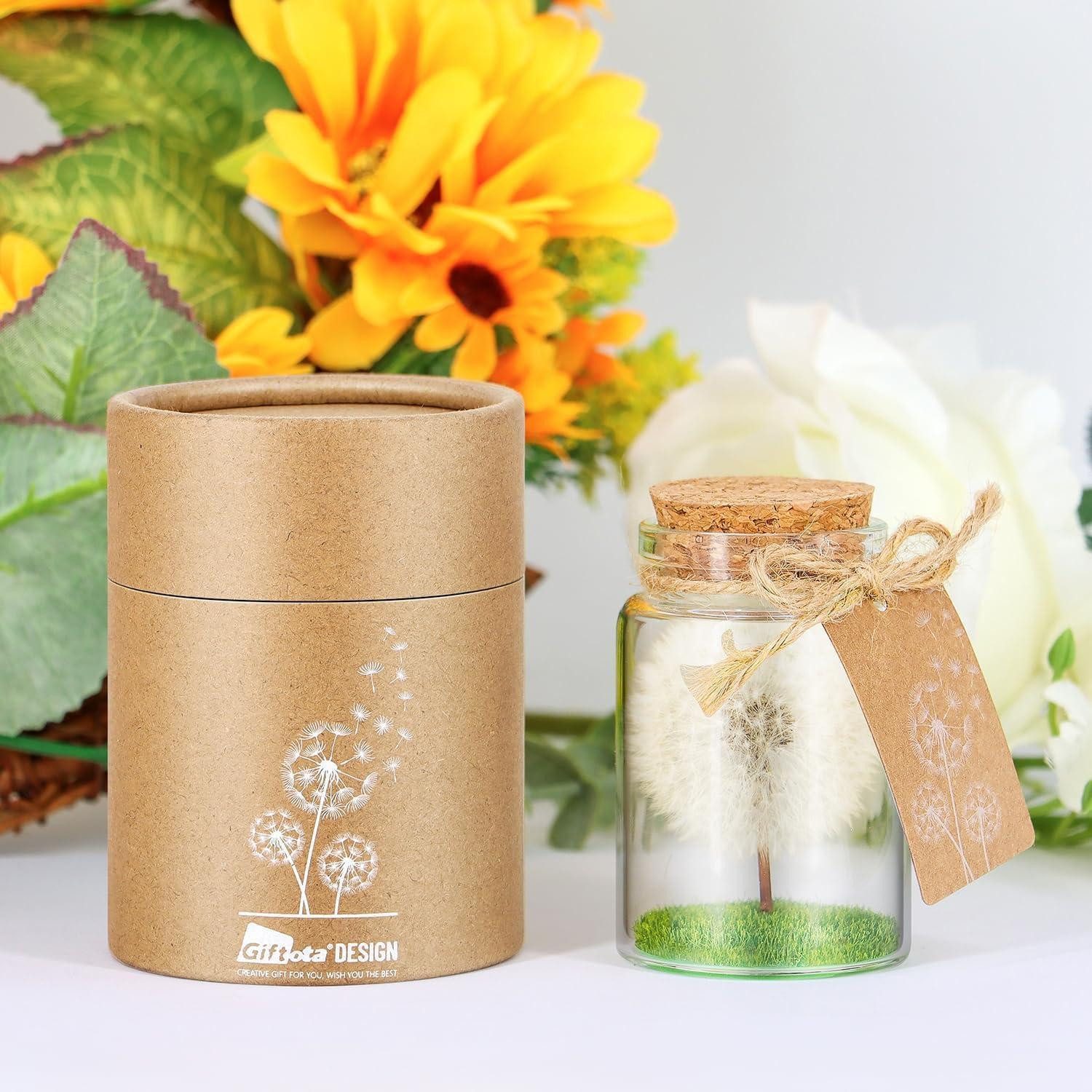 Trockenblume Echte Pusteblume im Glas Geschenkbox handgefertigt Geburtstag Hochzeit, LuxusKollektion