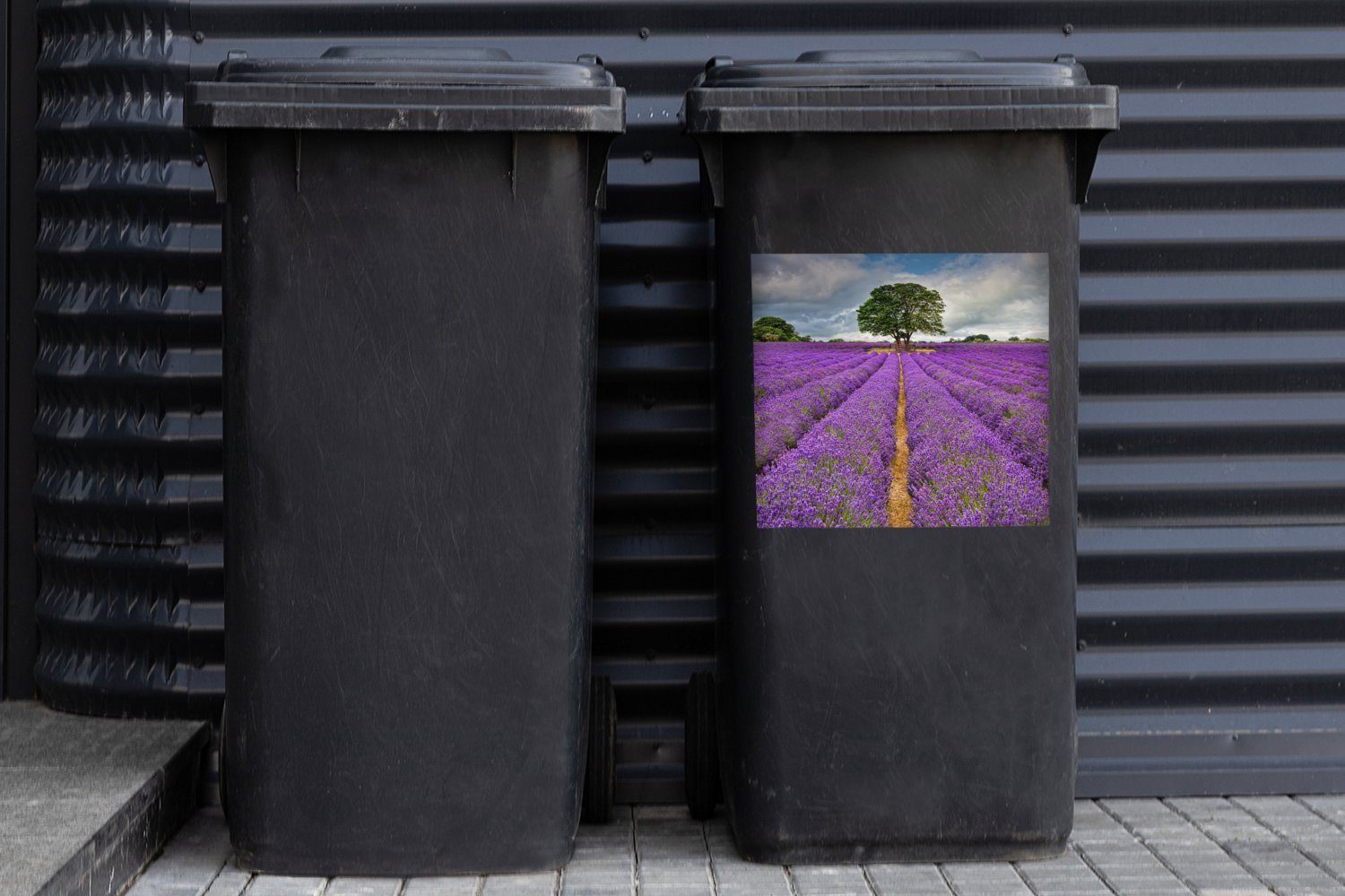 MuchoWow Wandsticker Lila Lavendelfeld Mülltonne, Abfalbehälter Container, Sticker, Himmel (1 mit Mülleimer-aufkleber, bewölktem St)