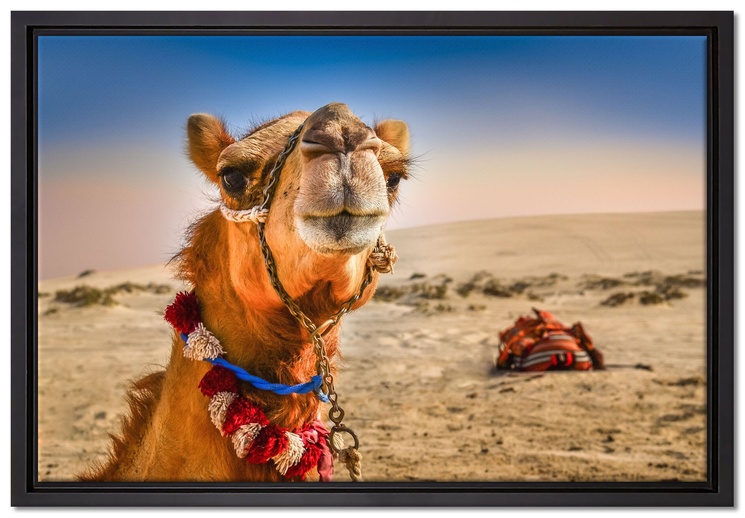 Pixxprint Leinwandbild Lustiges Kamel in Wüste, Wanddekoration (1 St), Leinwandbild fertig bespannt, in einem Schattenfugen-Bilderrahmen gefasst, inkl. Zackenaufhänger