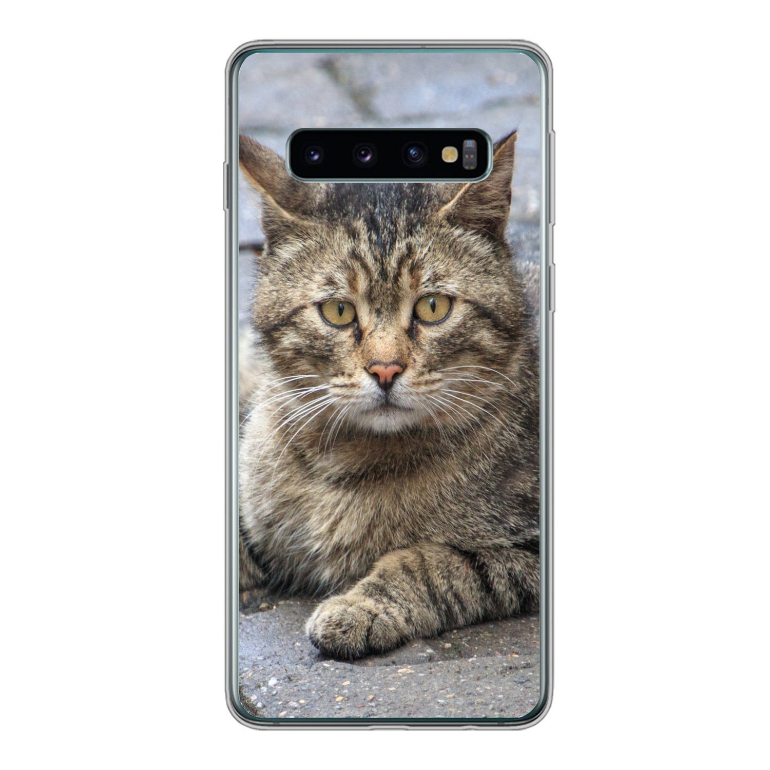 Handyhülle für Samsung Galaxy S10 Katze - Tier - Braun - Mädchen - Kinder - Junge