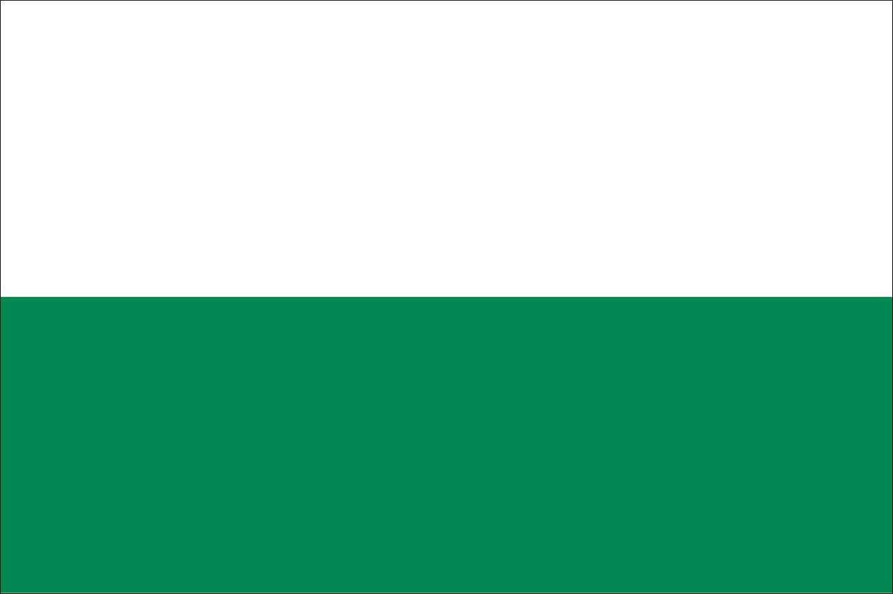 flaggenmeer Flagge Sachsen 160 g/m² Querformat