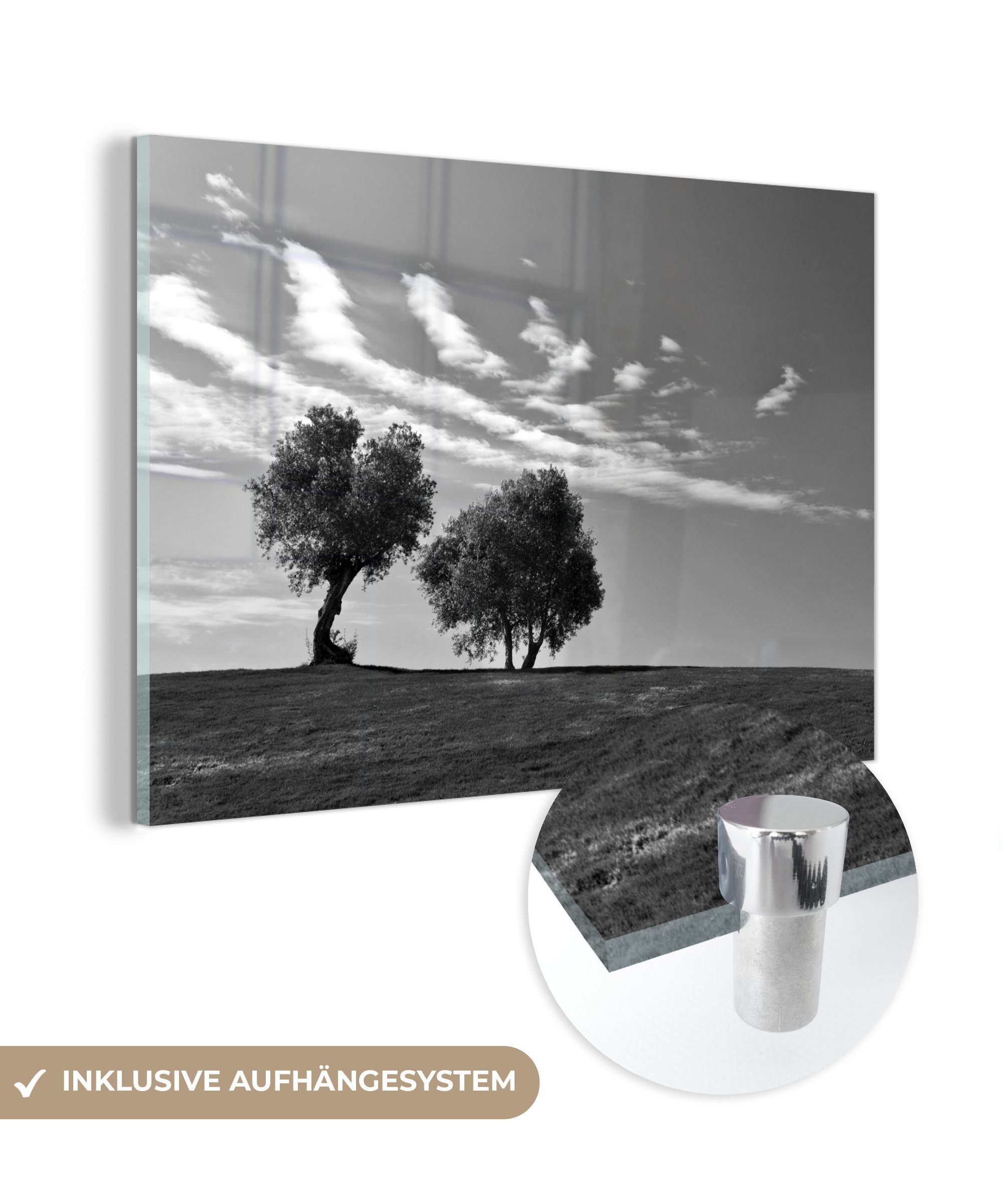MuchoWow Acrylglasbild Zwei Olivenbäume - schwarz und weiß, (1 St), Acrylglasbilder Wohnzimmer & Schlafzimmer