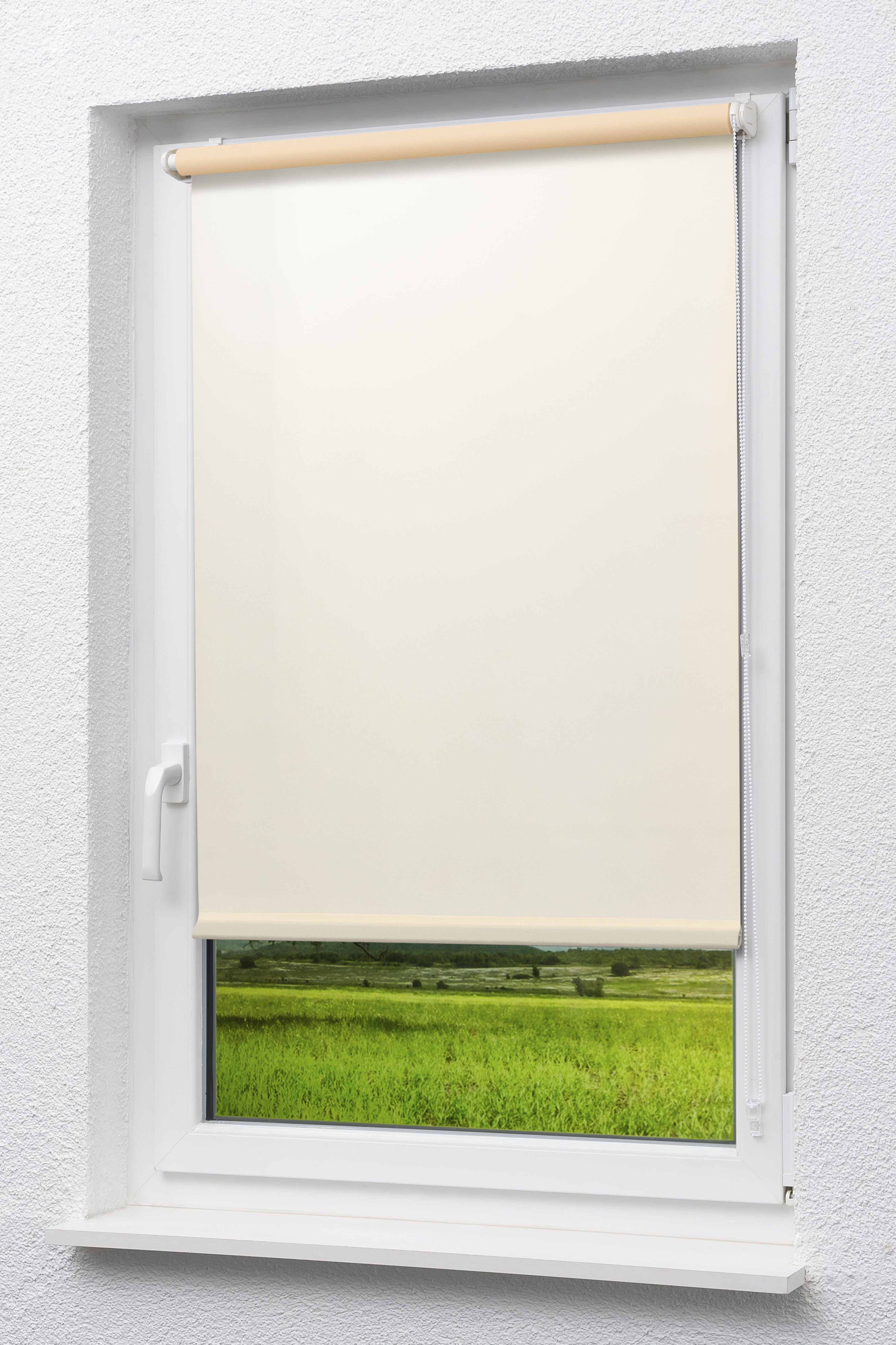 Rollo Mini Tageslicht Vanille, LYSEL®, blickdicht, HxB 175x103cm