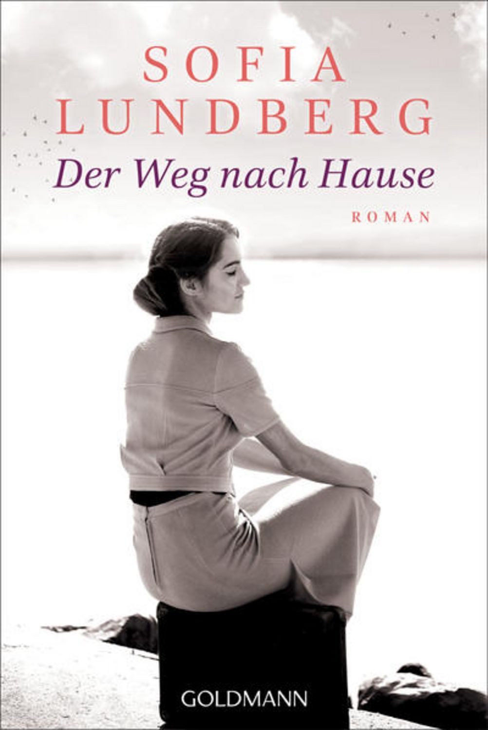 Der Weg nach Hause / Sofia Lundberg