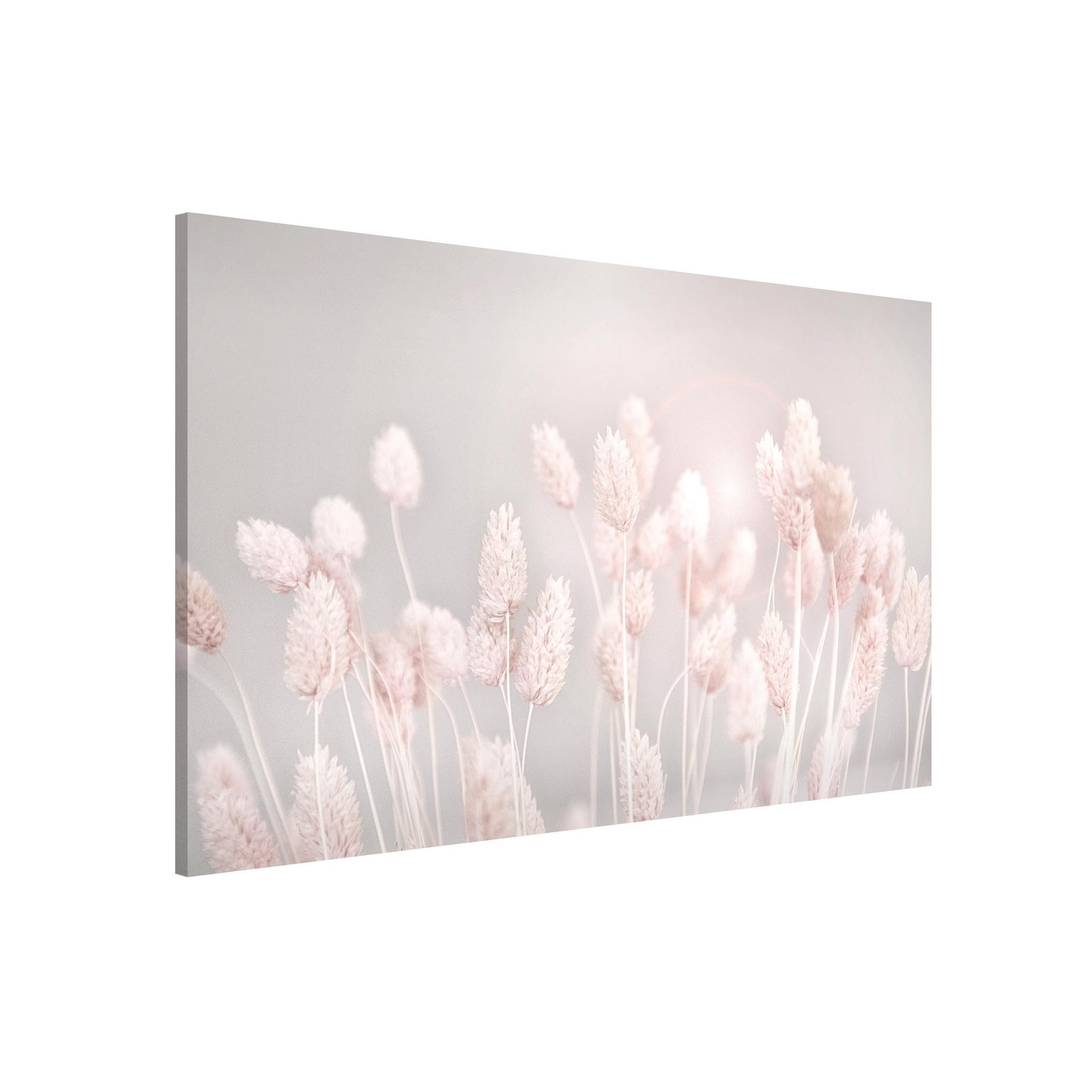 Bilderdepot24 Magnettafel Küche beige Helles Gras im Sonnenlicht, (1-tlg., Magnetboard Pinnwand für die Wand - metallische Tafel für Magnete), Magnetwand groß mit Motiv Büro Memoboard magnetisch Querformat