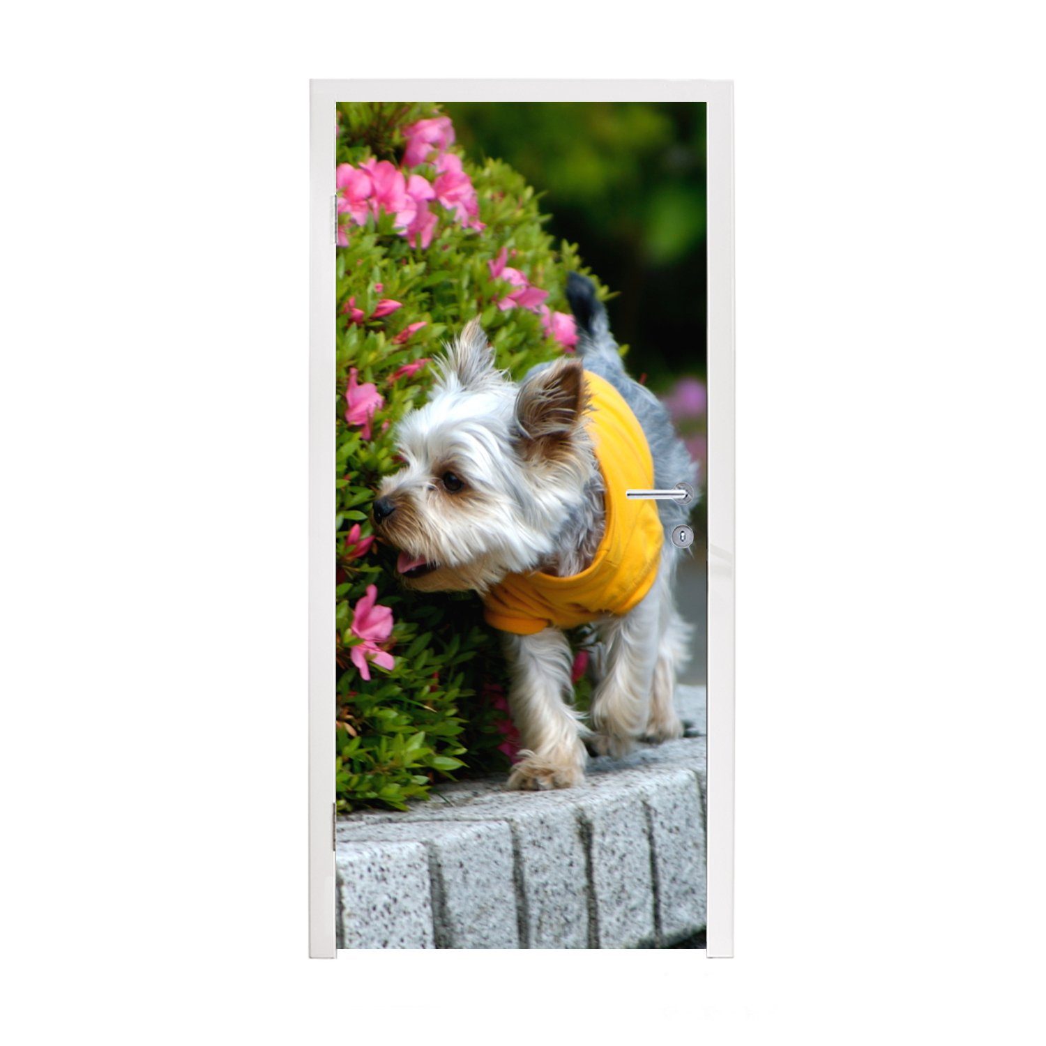 MuchoWow Türtapete Ein Yorkshire Terrier läuft an bunten Blumen vorbei, Matt, bedruckt, (1 St), Fototapete für Tür, Türaufkleber, 75x205 cm