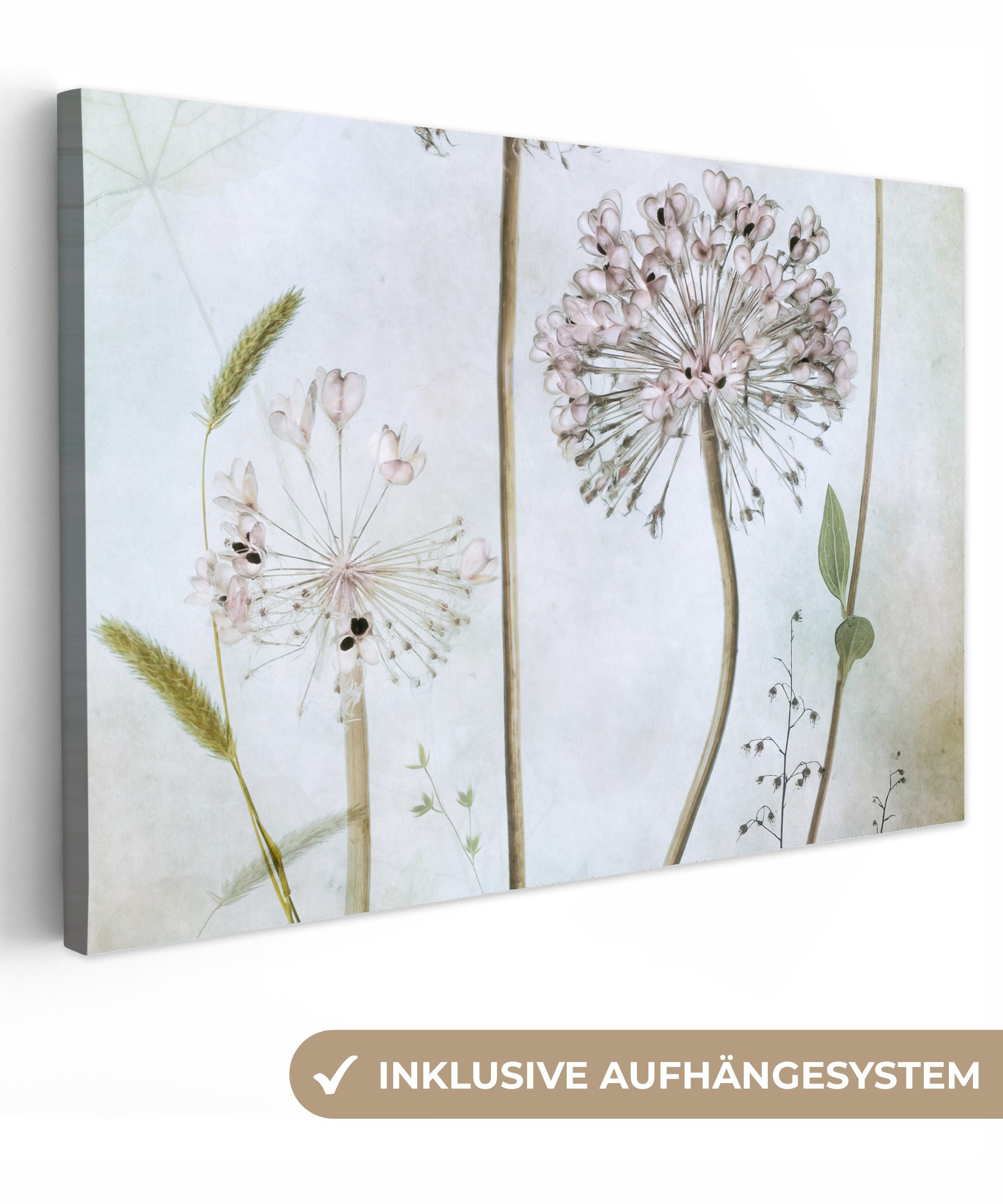 OneMillionCanvasses® Leinwandbild Blumen - Dekorative Zwiebel günstig online kaufen