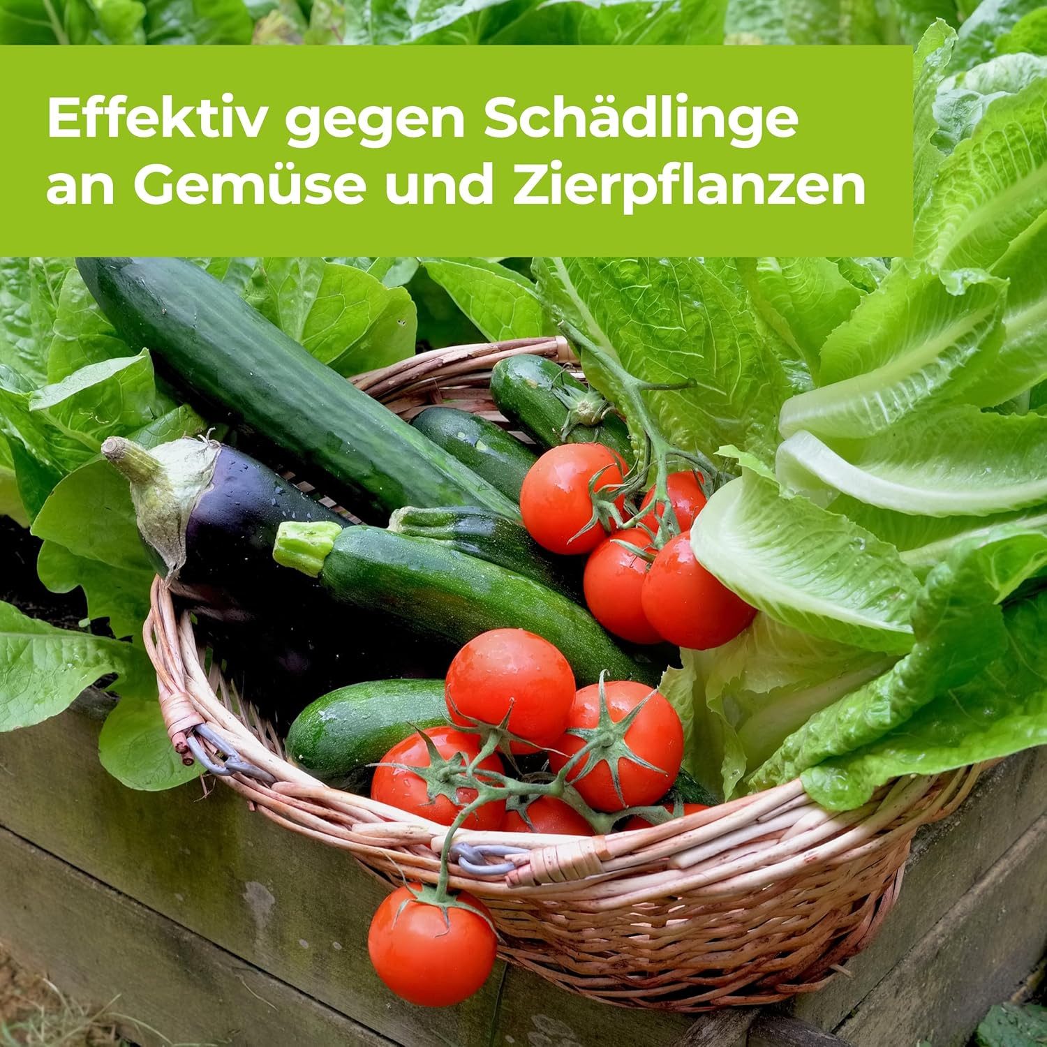Protect Garden Insektenspray Protect Garden DeltaX Schädlingsfrei AF 1 Liter – Bild 5 von 5