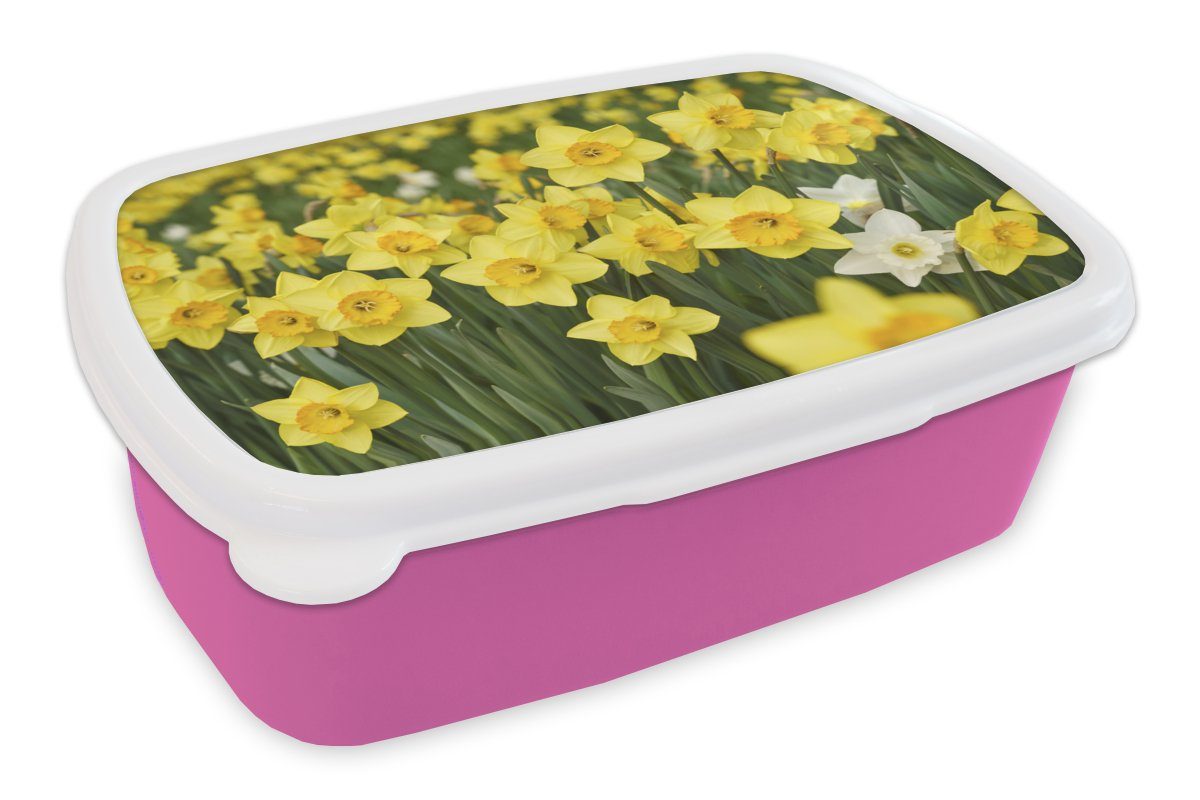 MuchoWow Lunchbox Blumen - Gelb - Narzissen, Kunststoff, (2-tlg), Brotbox für Erwachsene, Brotdose Kinder, Snackbox, Mädchen, Kunststoff rosa