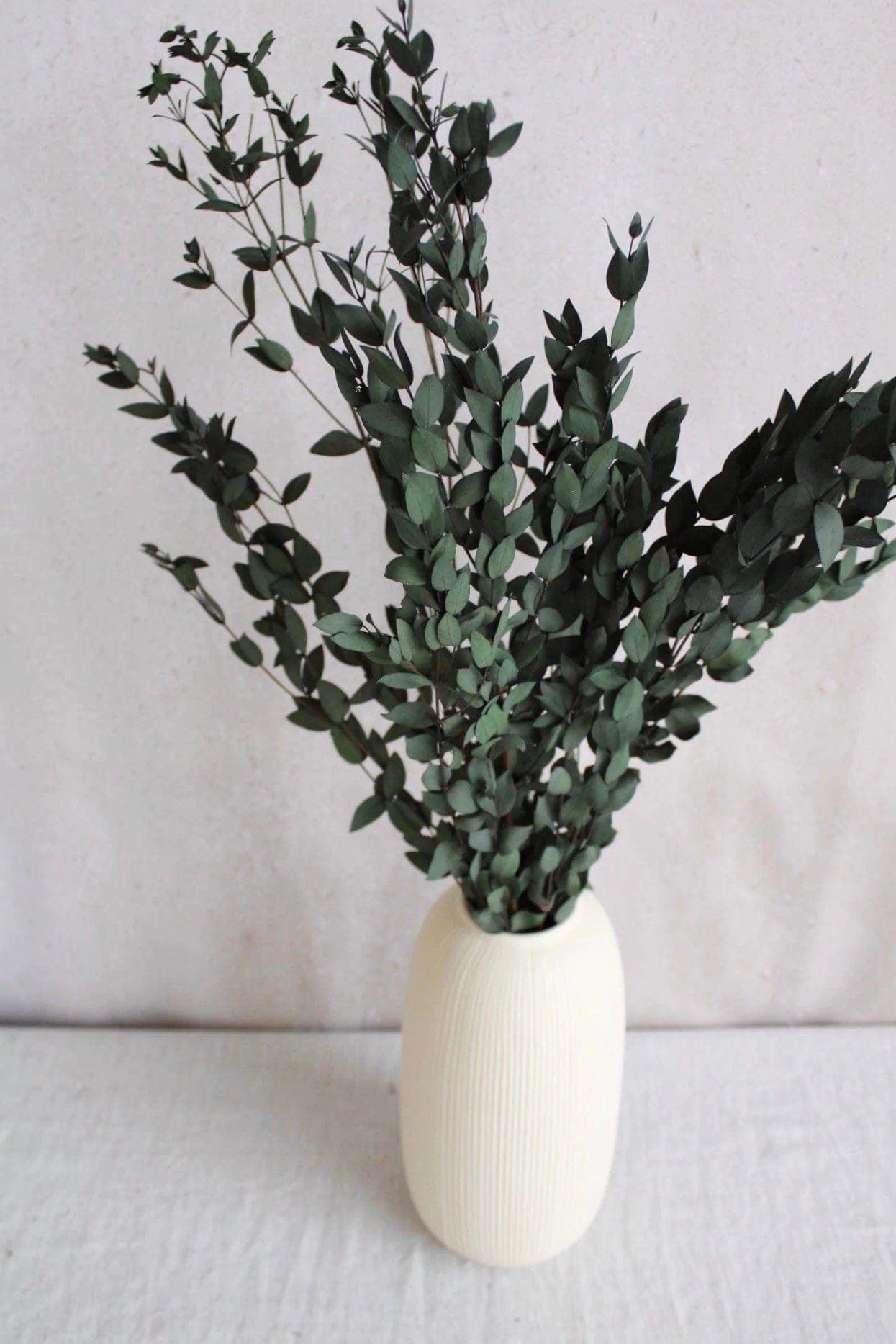 Glixia Trockenblumen-Set Lagurus, Eukalyptus Vasenglück Trockenblume Trockenblumen, mit und
