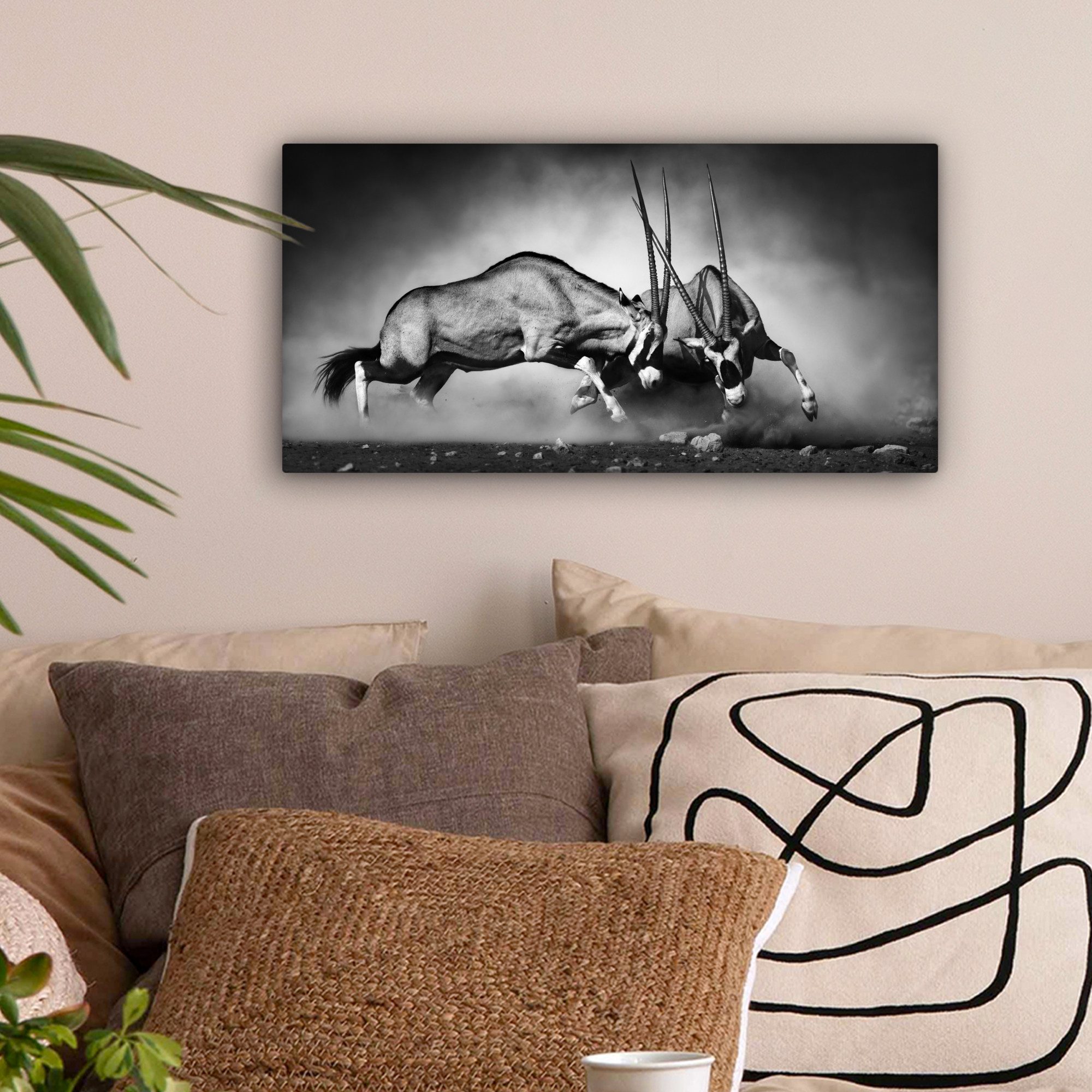 OneMillionCanvasses® Leinwandbild Panorama Antilope - Schwarz günstig online kaufen