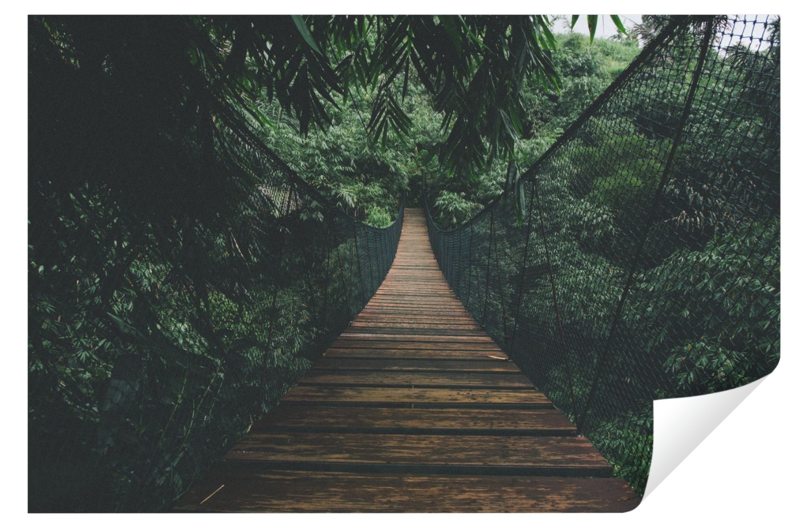 Fototapete Hängebrücke Wald Vlies Tapete Wohnzimmer Schlafzimmer Wandtapete