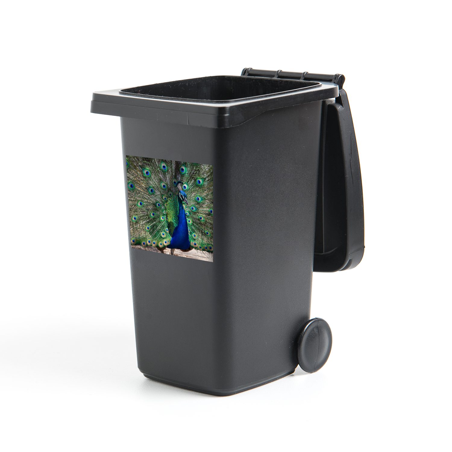 MuchoWow Wandsticker Pfauenfedern - Grün - Blau (1 St), Mülleimer-aufkleber, Mülltonne, Sticker, Container, Abfalbehälter