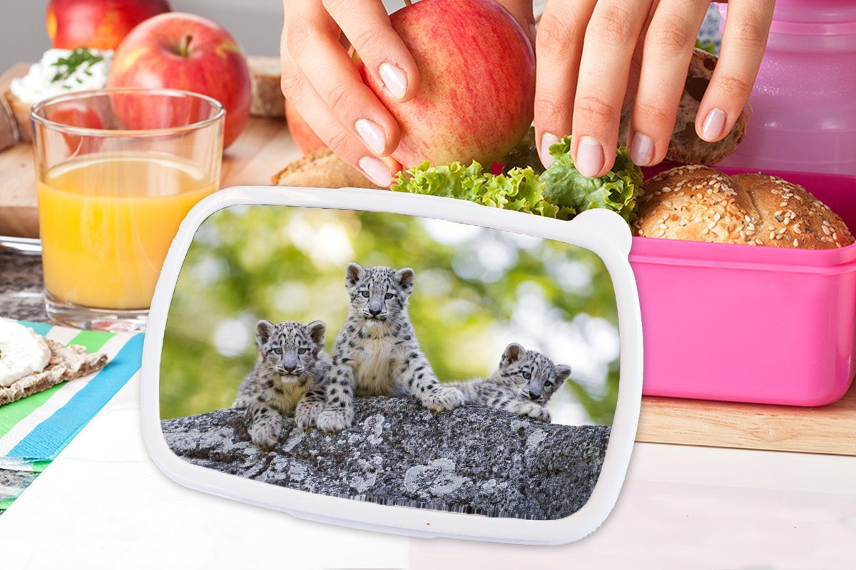 Lunchbox Snackbox, Jungtiere Kunststoff, Mädchen, Erwachsene, Brotbox Kinder, für (2-tlg), Brotdose rosa - Leopard - Steine, Kunststoff MuchoWow