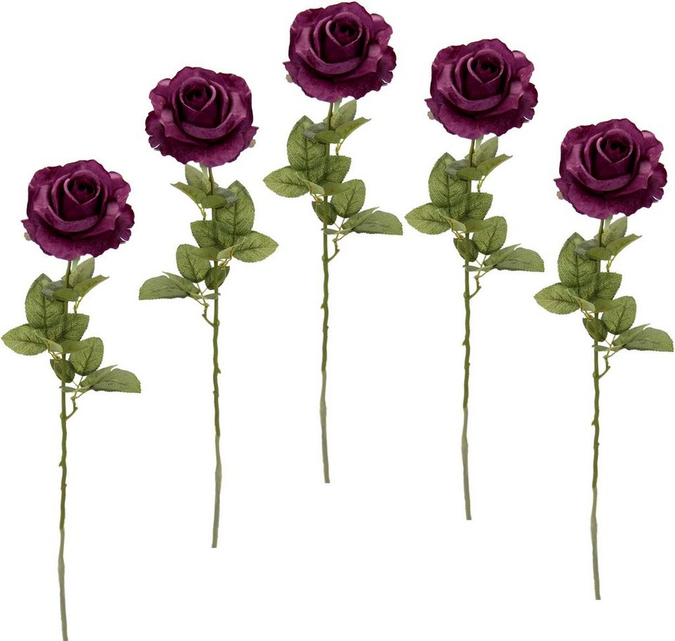 Kunstblume Rose, I.GE.A., Höhe 68 cm, 5er Set