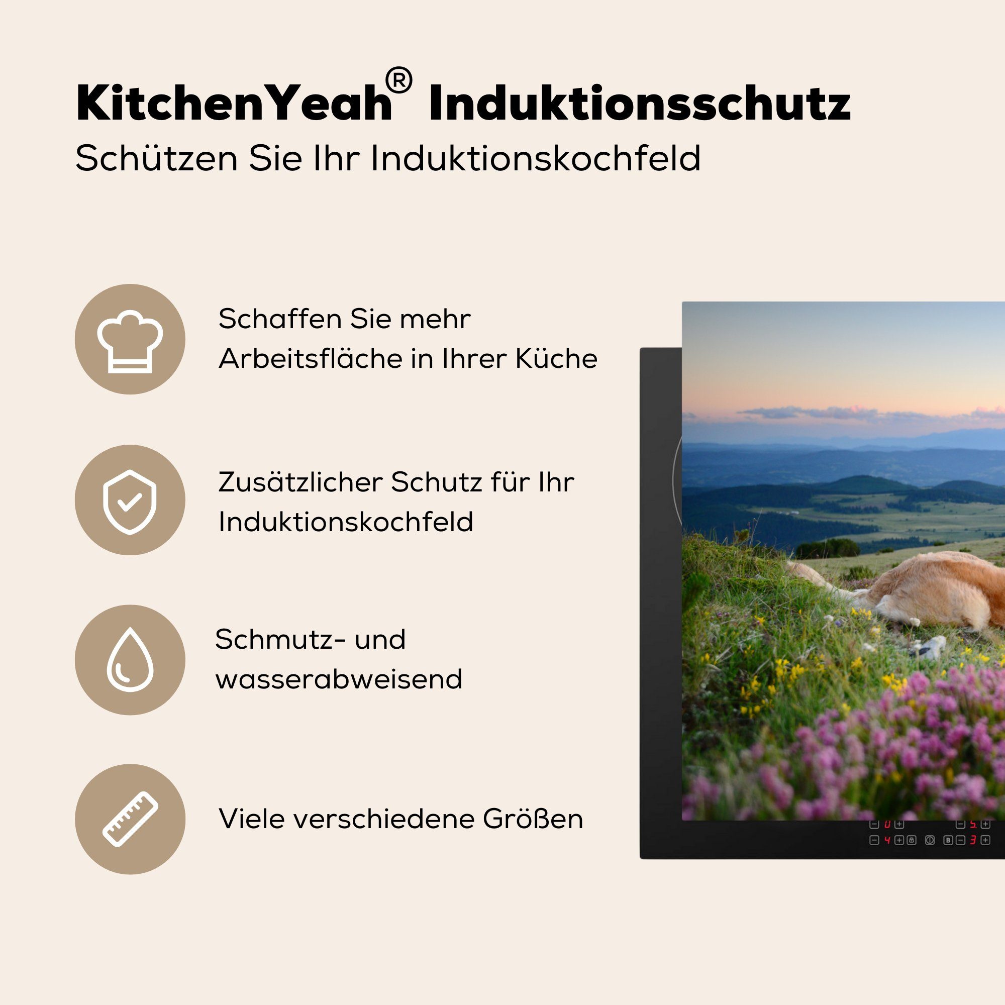 81x52 Retriever, die küche, Vinyl, für Schutz Hund cm, (1 Ceranfeldabdeckung Blumen Herdblende-/Abdeckplatte - Induktionskochfeld tlg), MuchoWow Golden -