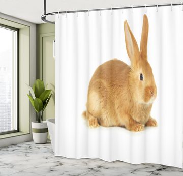 Abakuhaus Duschvorhang Moderner Digitaldruck mit 12 Haken auf Stoff Wasser Resistent Breite 175 cm, Höhe 180 cm, Hase Fluffy und Animal Design