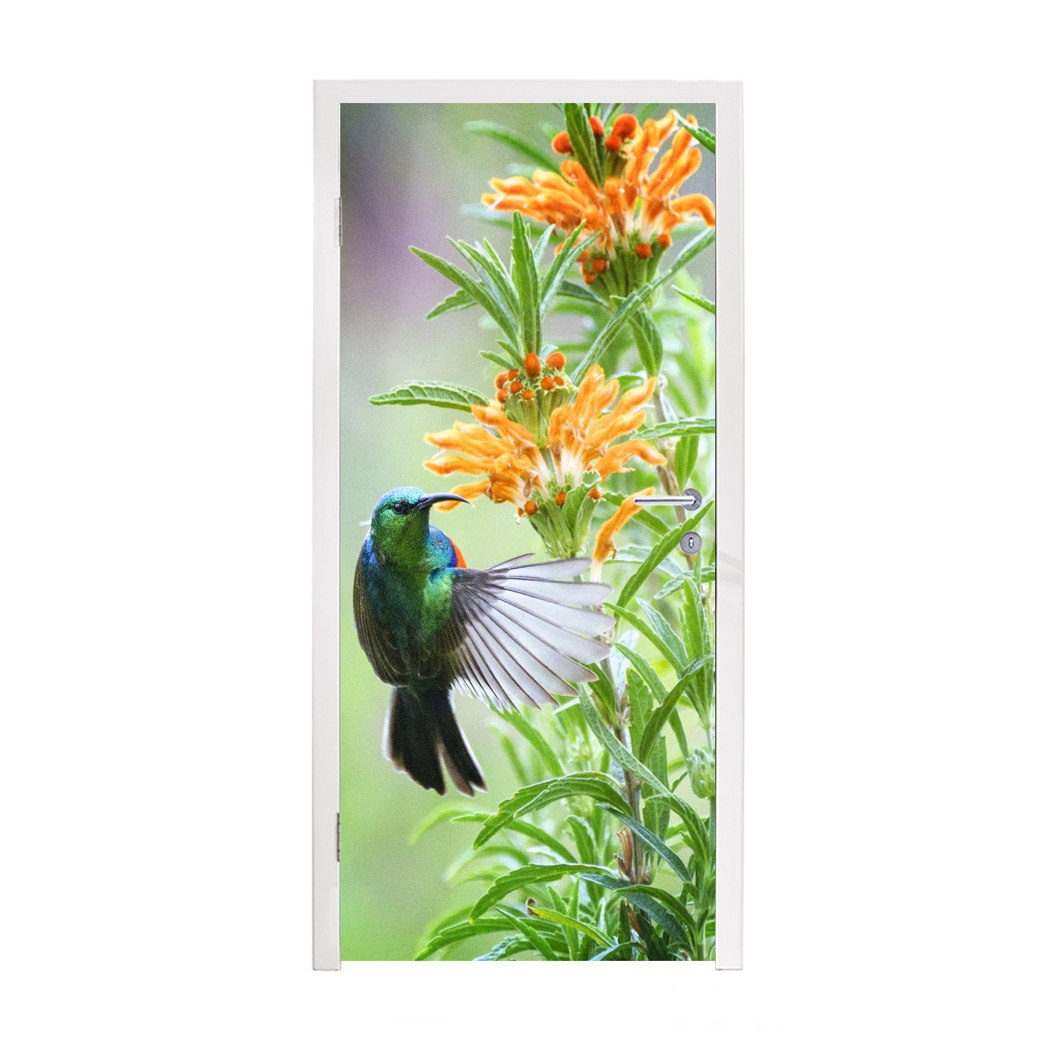 MuchoWow Türtapete Nahaufnahme eines bunten Vogels neben Pflanzen mit orangefarbenen, Matt, bedruckt, (1 St), Fototapete für Tür, Türaufkleber, 75x205 cm