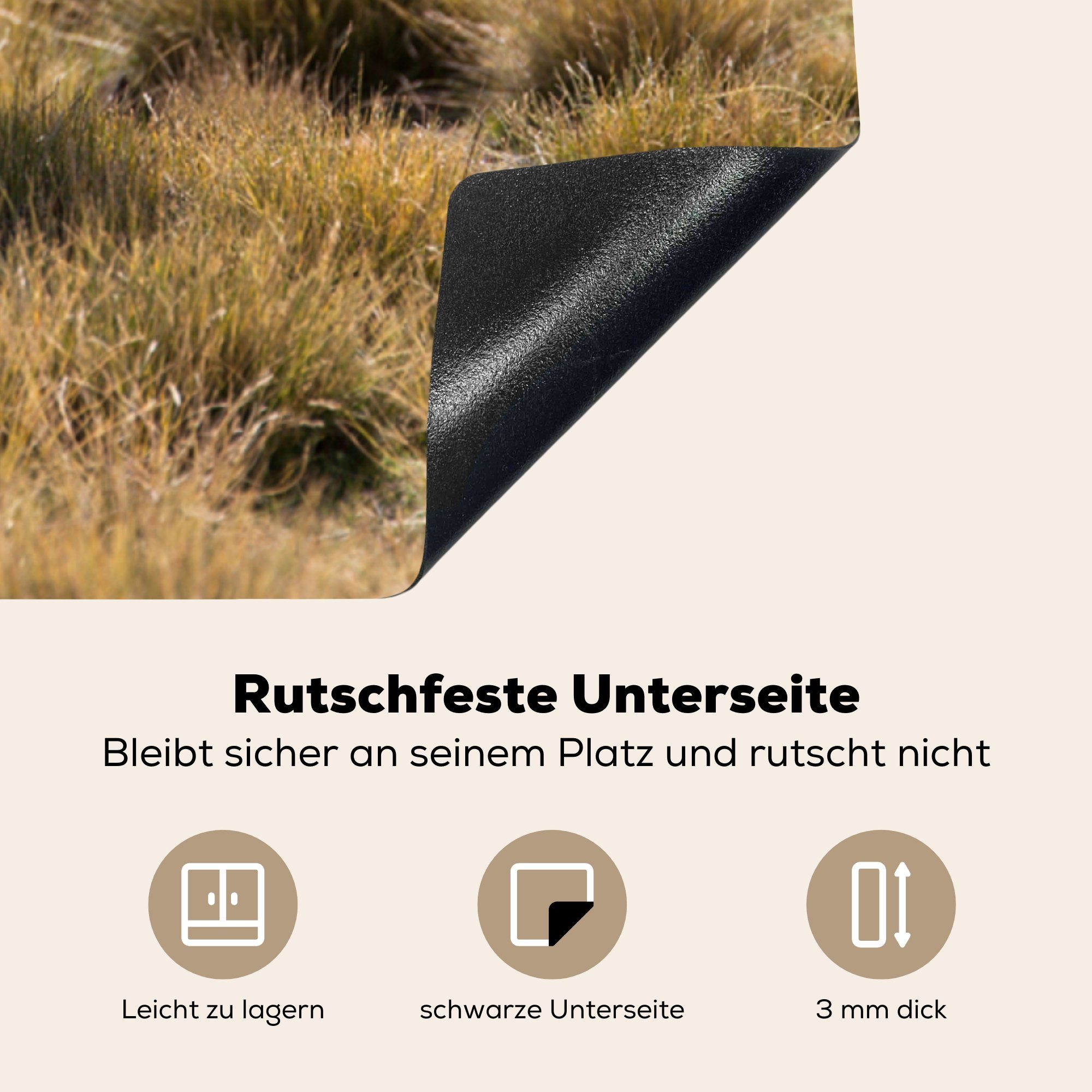 Ceranfeldabdeckung, cm, küche Vinyl, Tier, Alpaka Gras Arbeitsplatte Herdblende-/Abdeckplatte für - MuchoWow 78x78 tlg), - (1