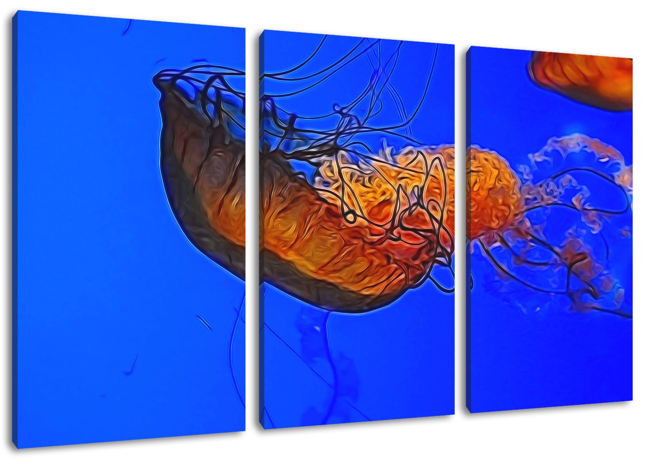 Leinwandbild anmutige Qualle im Wasser