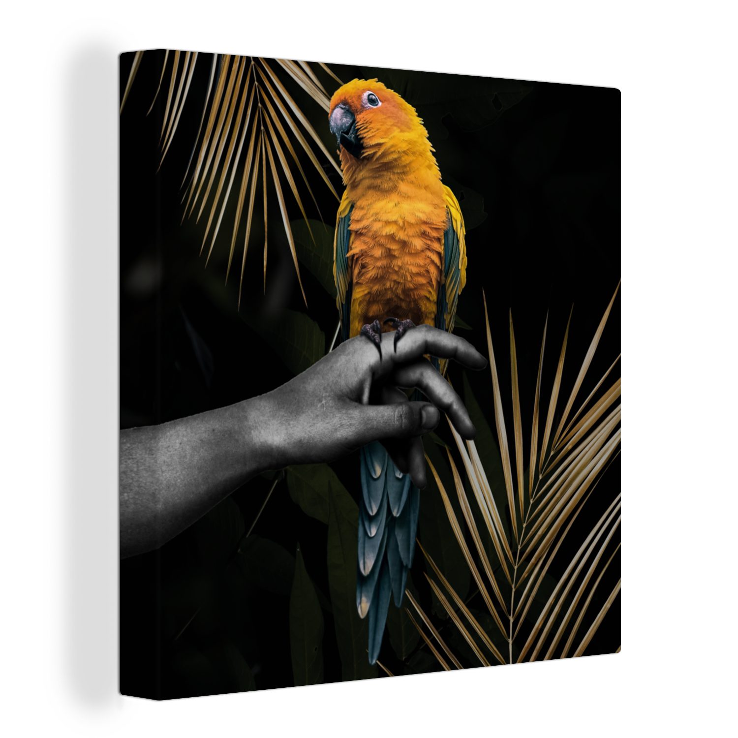 OneMillionCanvasses® Leinwandbild Vogel - Papagei - Hand - Farn, (1 St), Leinwand Bilder für Wohnzimmer Schlafzimmer bunt