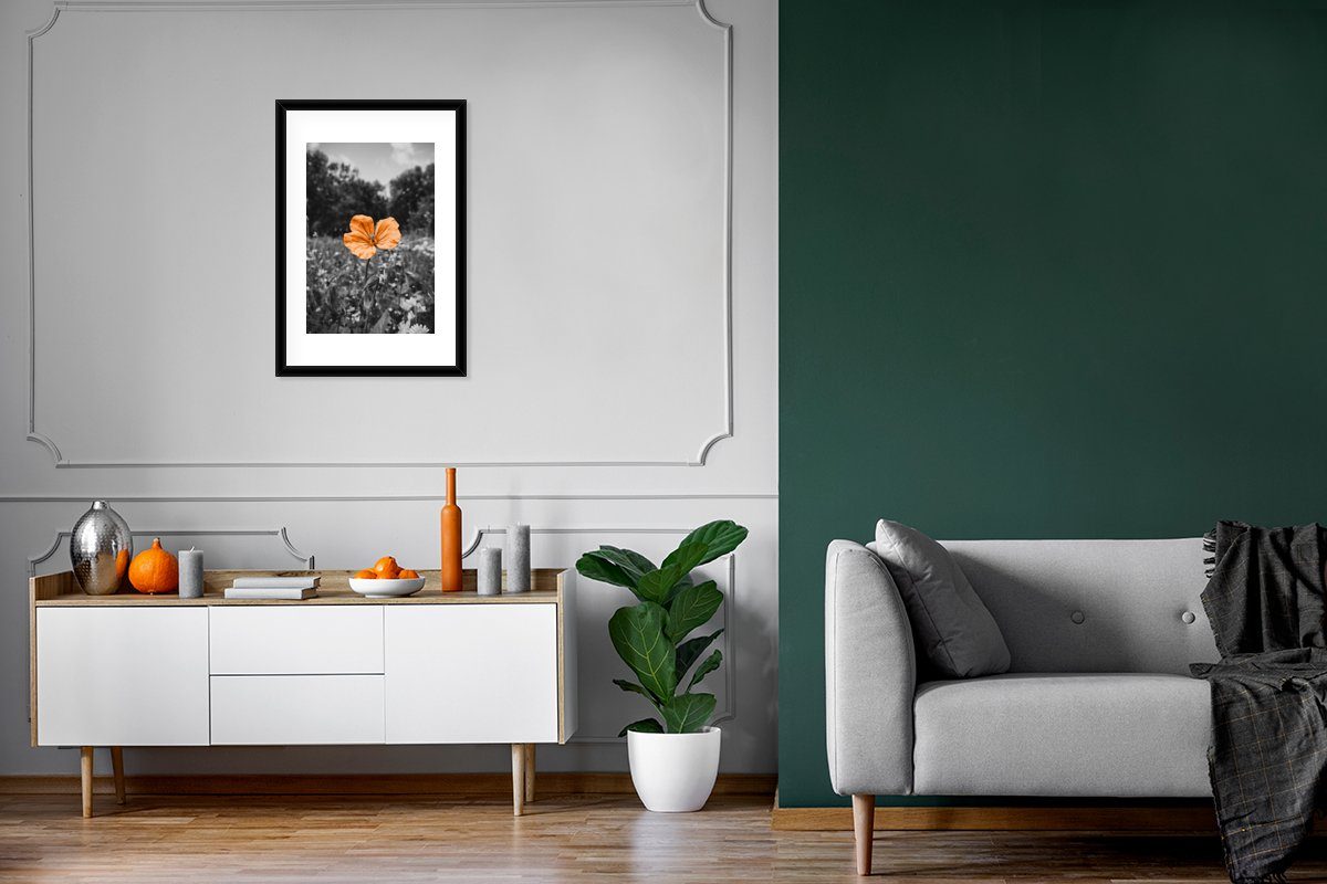 MuchoWow Poster Blumen - Schwarz St), (1 Bilderrahmen Weiß mit Rahmen, - Orange, Schwarzem Gerahmtes Kunstdruck, Poster, 