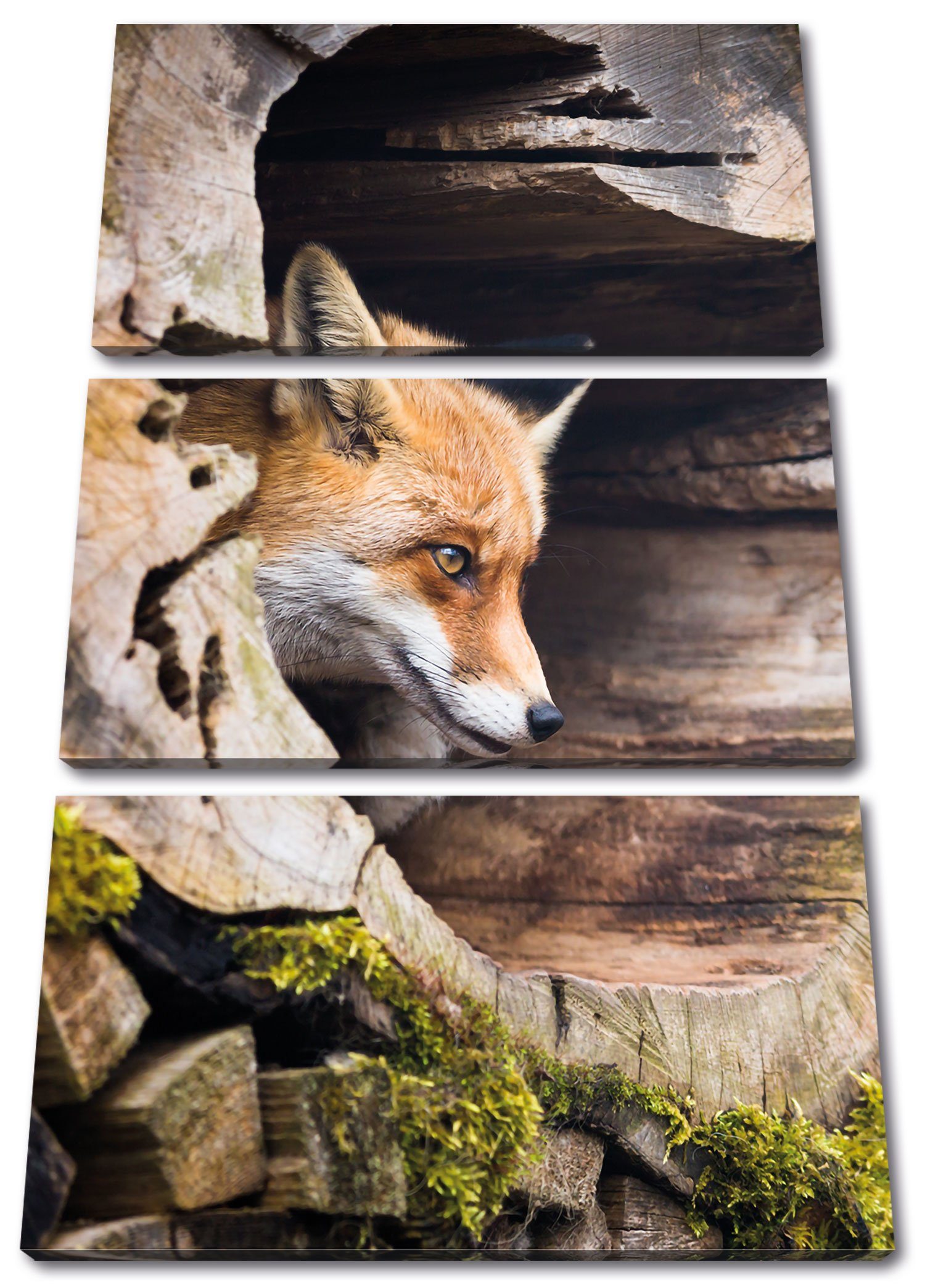 Pixxprint Leinwandbild Fuchs im Baumstamm, Fuchs im Baumstamm 3Teiler (120x80cm) (1 St), Leinwandbild fertig bespannt, inkl. Zackenaufhänger