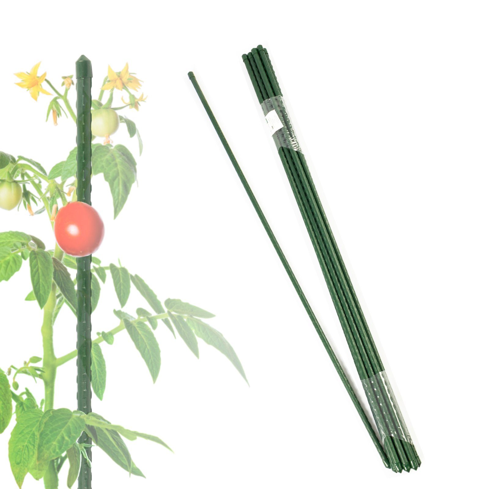 Kubus Rankhilfe Pflanzstab Mana, 10er Set, günstig online kaufen