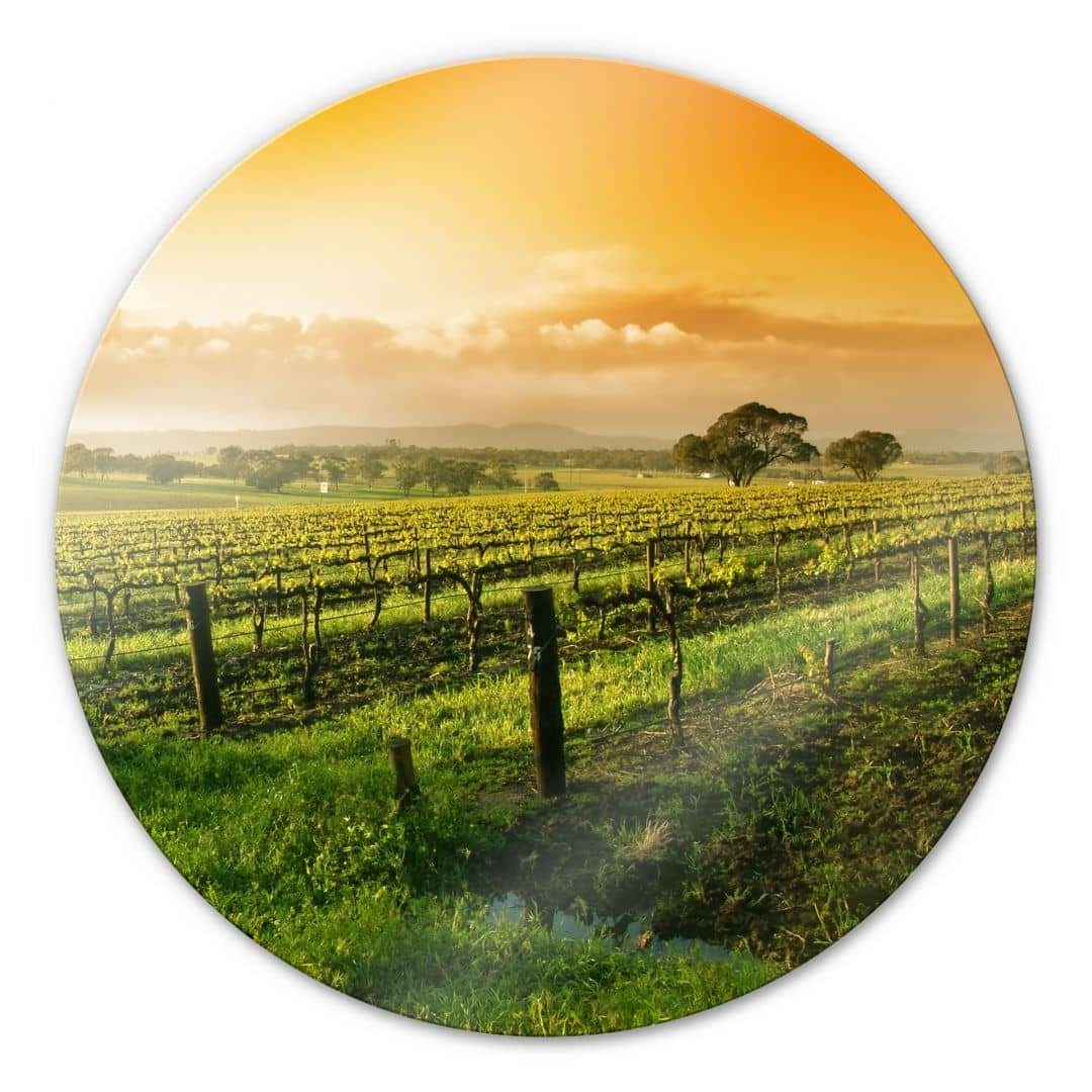K&L Wall Art Glasbild Glas Wandbild Rund Glasbild Weinreben Wellness Sonnenuntergang, Wandschutz Deko Изображения