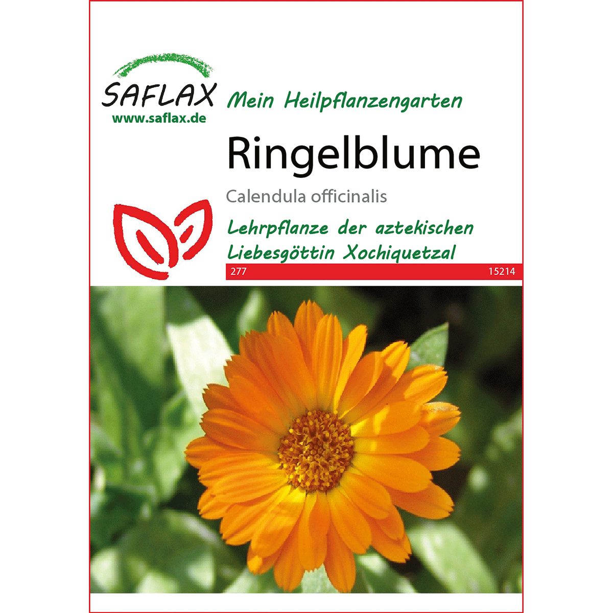 SAFLAX Blumensamen SAFLAX - Heilpflanzen - günstig online kaufen