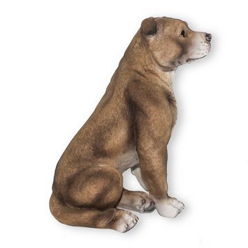 colourliving Gartenfigur Hunde Figur Bullterrier sitzend Terrier Figur, (detailgetreue Darstellung, liebevoll verarbeitet), handbemalt, 33 cm hoch, Möbelschoner unter den Füßen