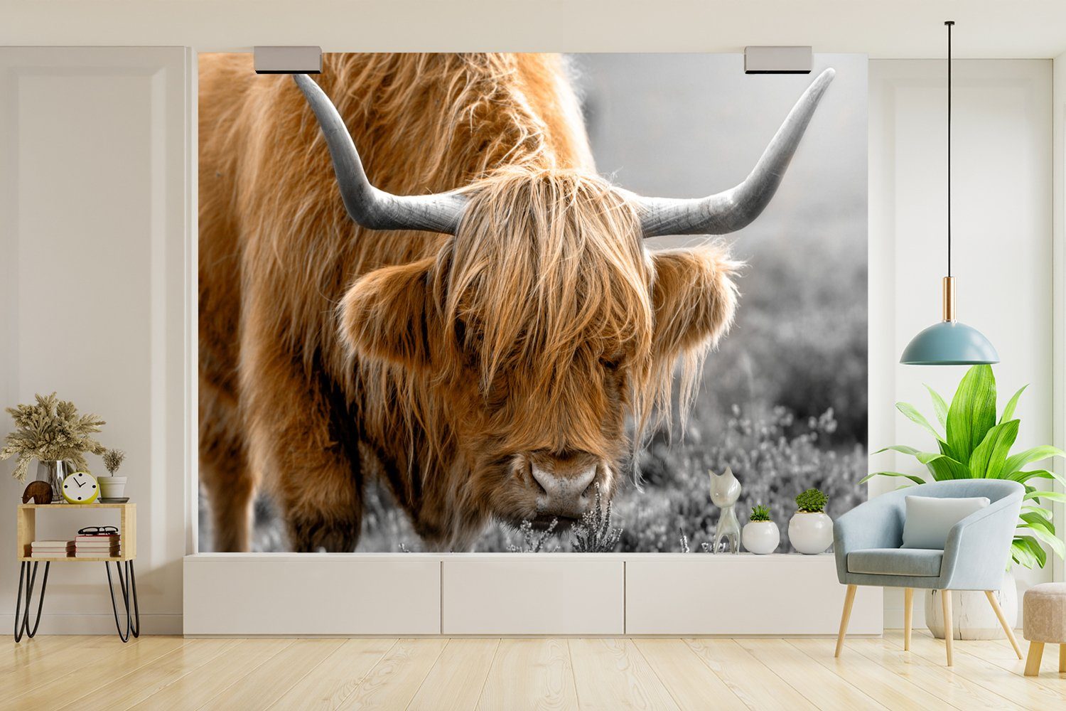 Tapete (6 Kinderzimmer, Wallpaper bedruckt, St), Schlafzimmer, Highlander Fototapete Kuh, Schottischer - Wohnzimmer, Vinyl für MuchoWow Blumen Matt, -